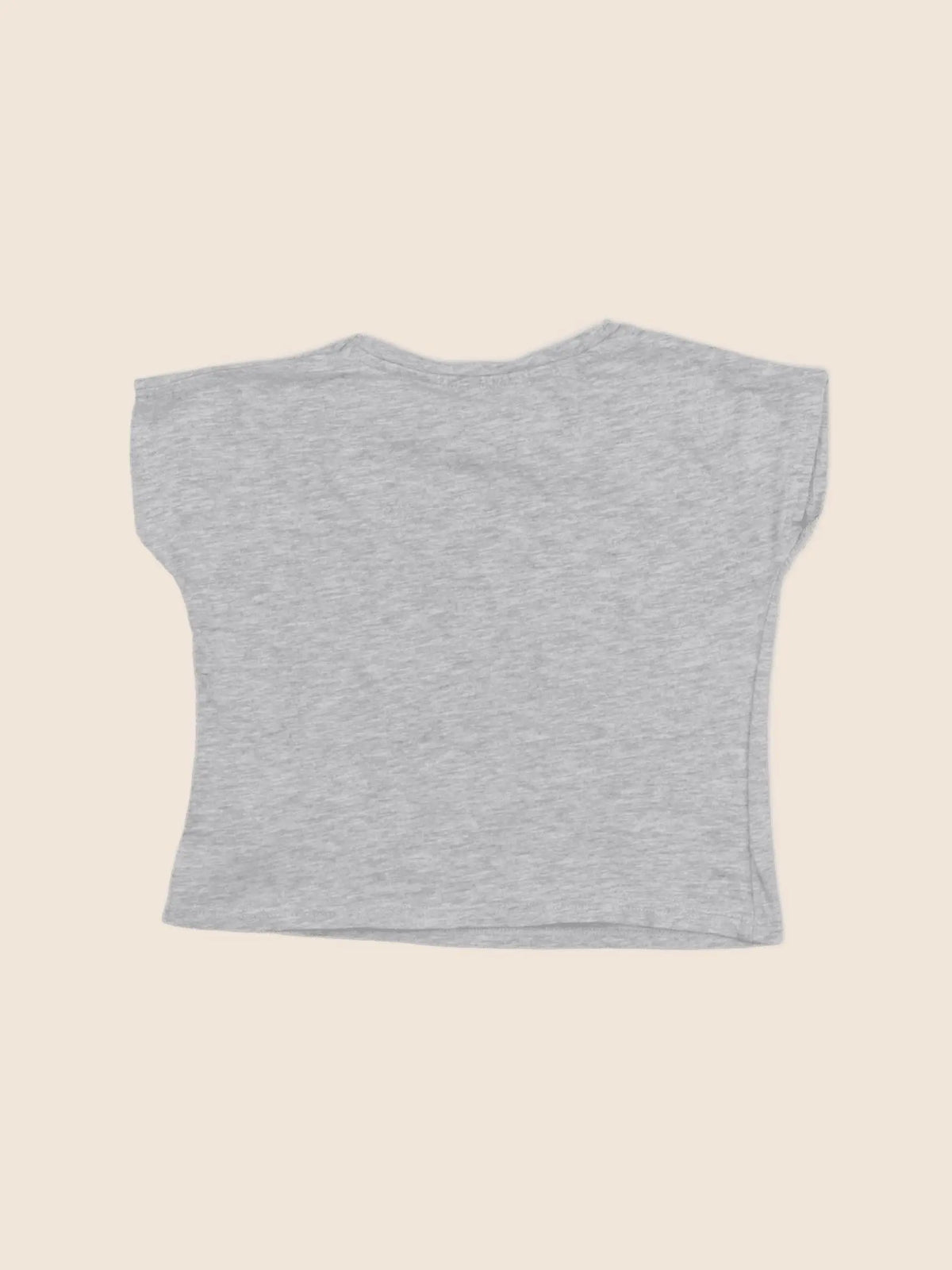 Vertbaudet - tee-shirt gris - 2 ans