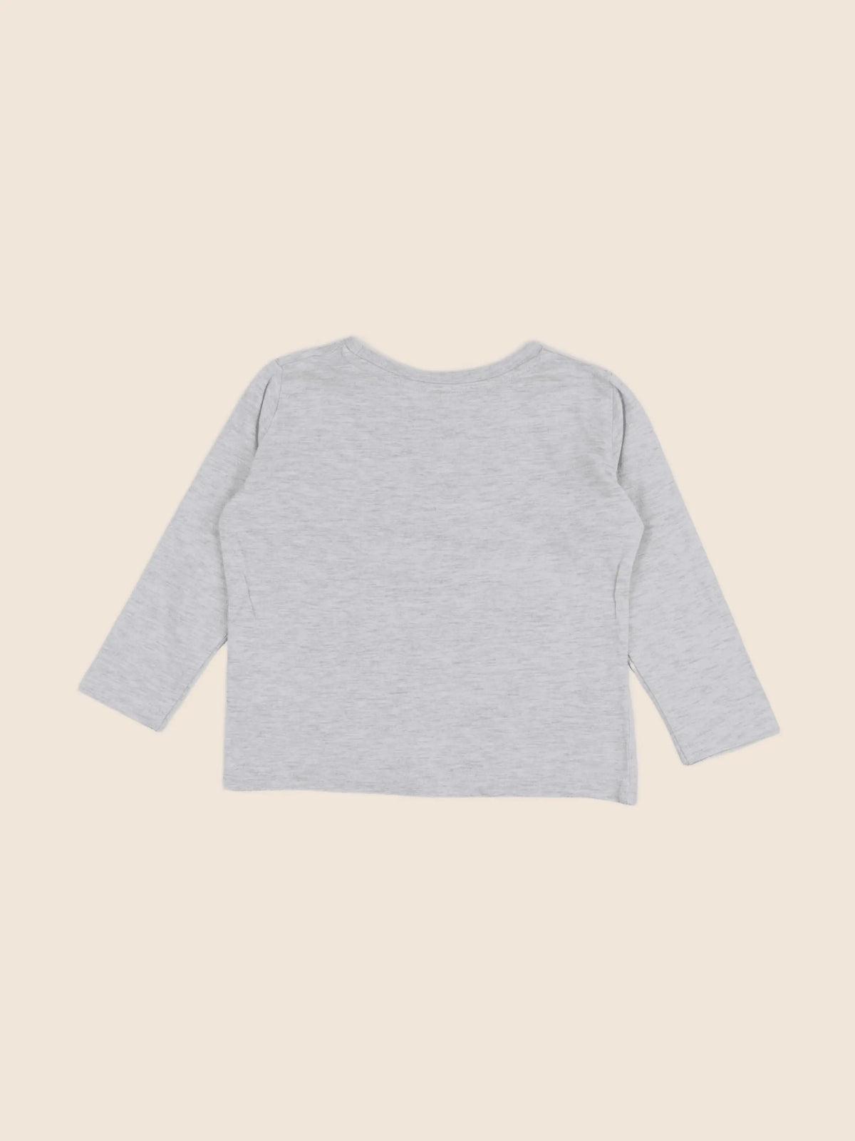 Vertbaudet - tee-shirt gris - 2 ans