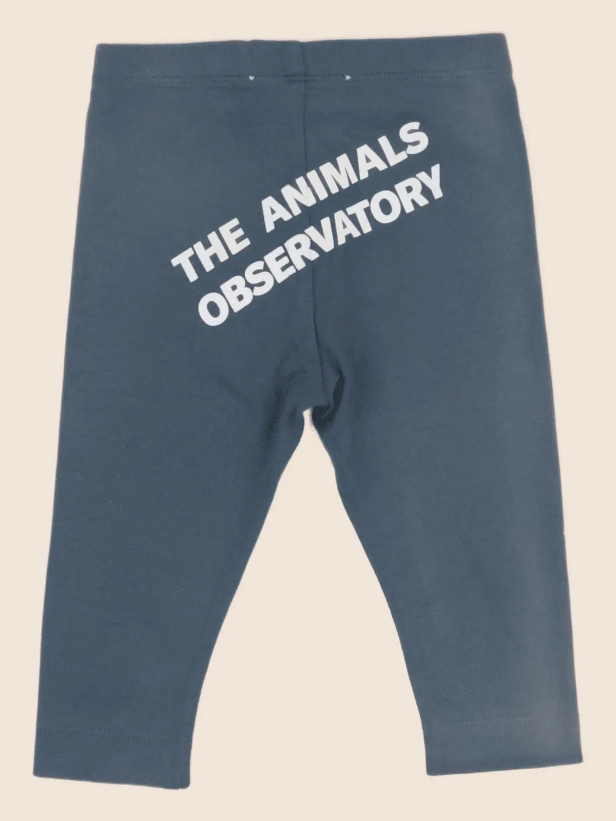 The animals observatory - legging bleu - 6 mois