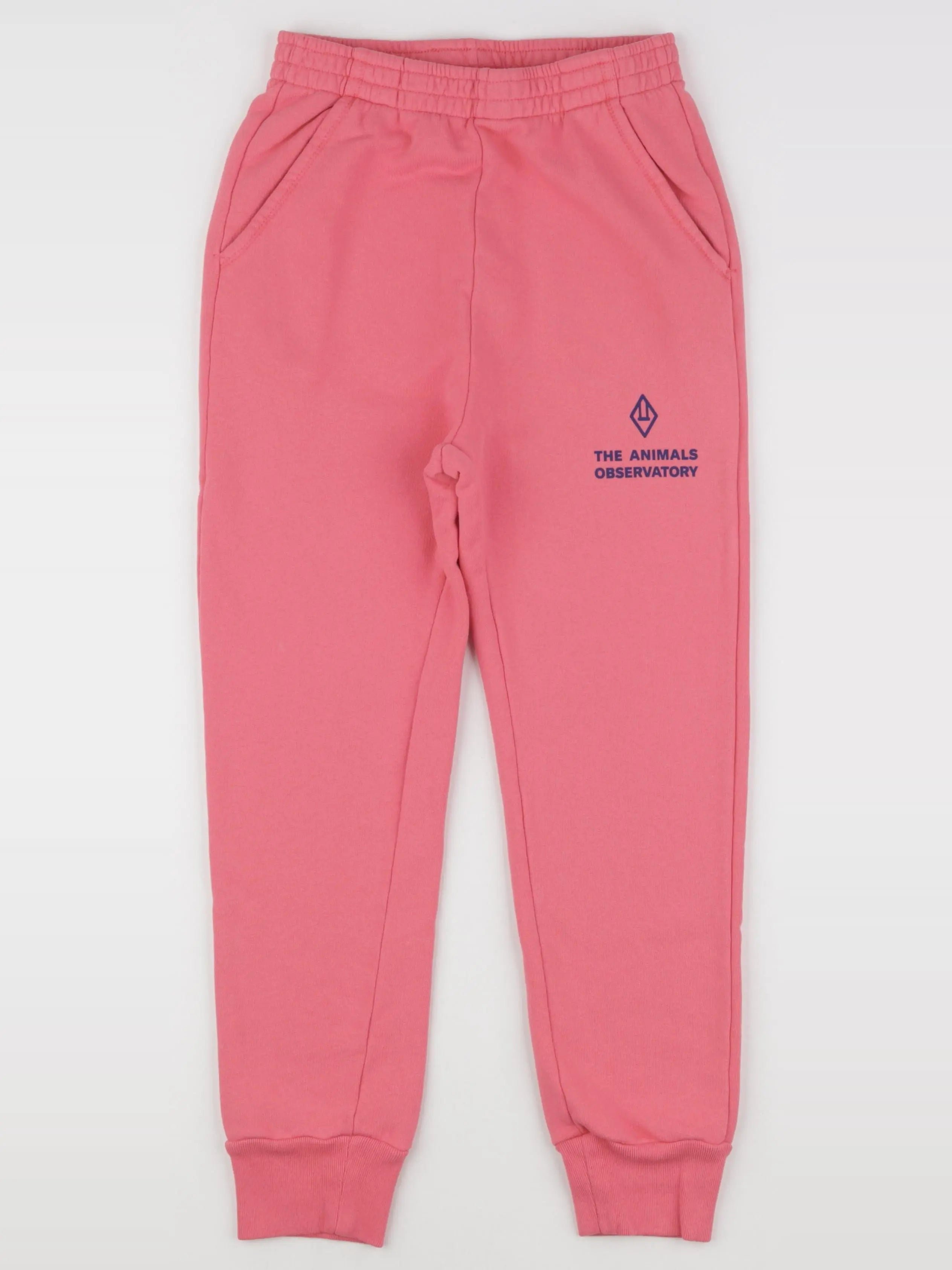 Jogging rose DRACO