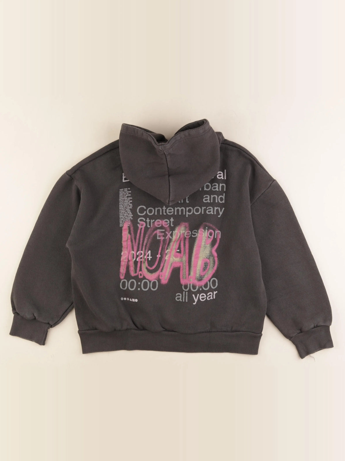 Zara - sweat imprimé au dos gris - 11/12 ans