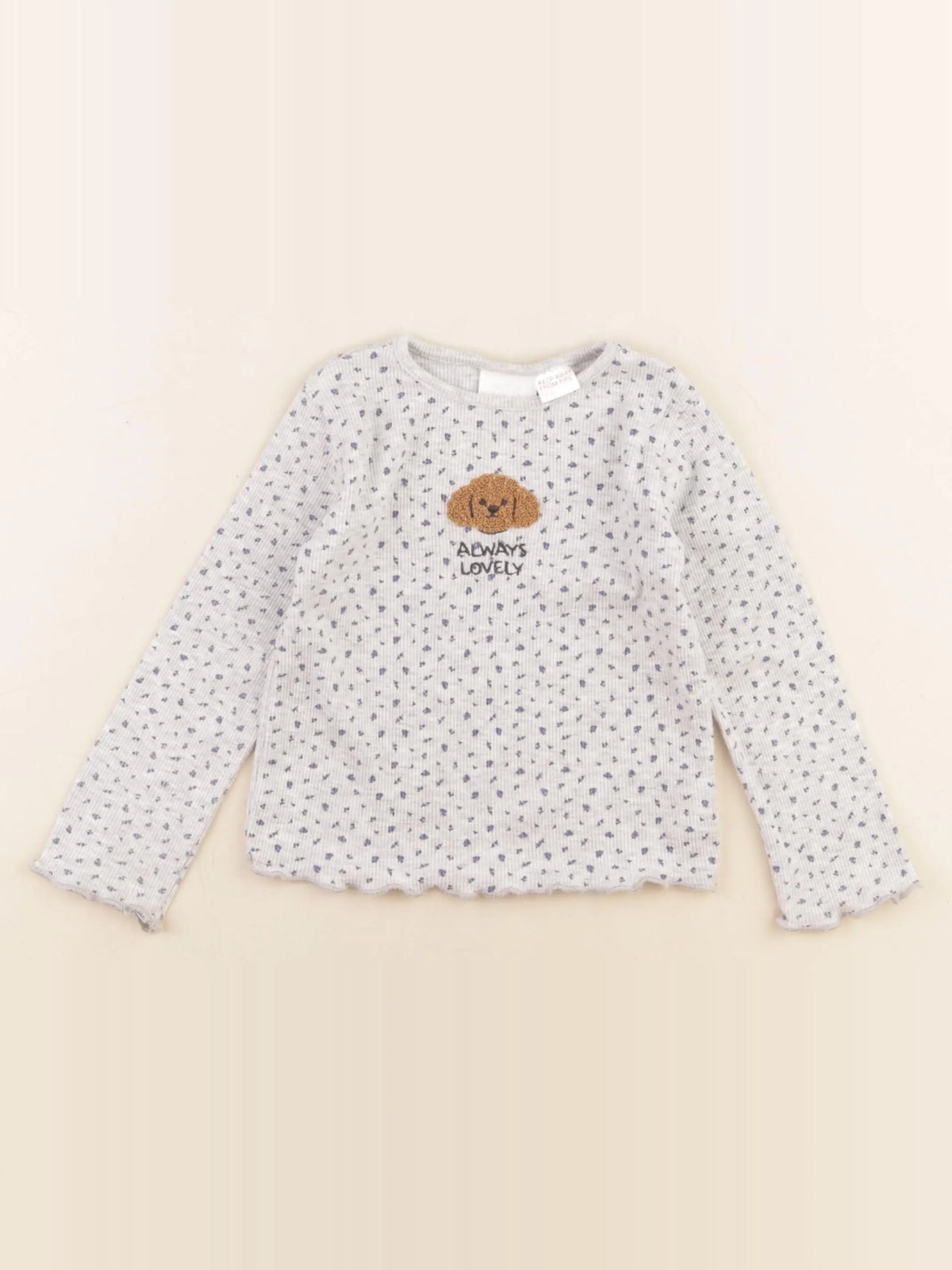 Zara - tee-shirt gris - 2 ans