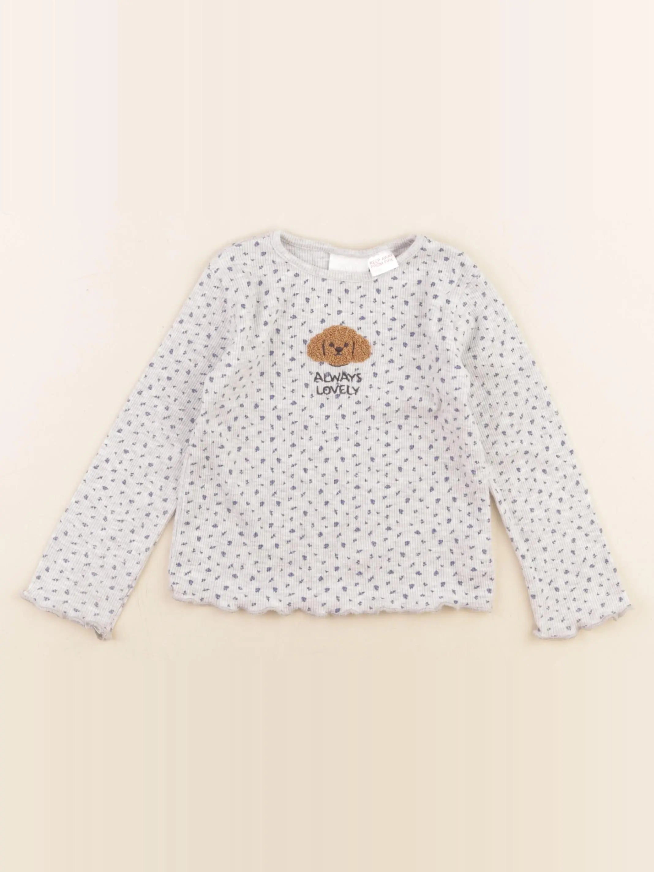 Zara - tee-shirt gris - 2 ans