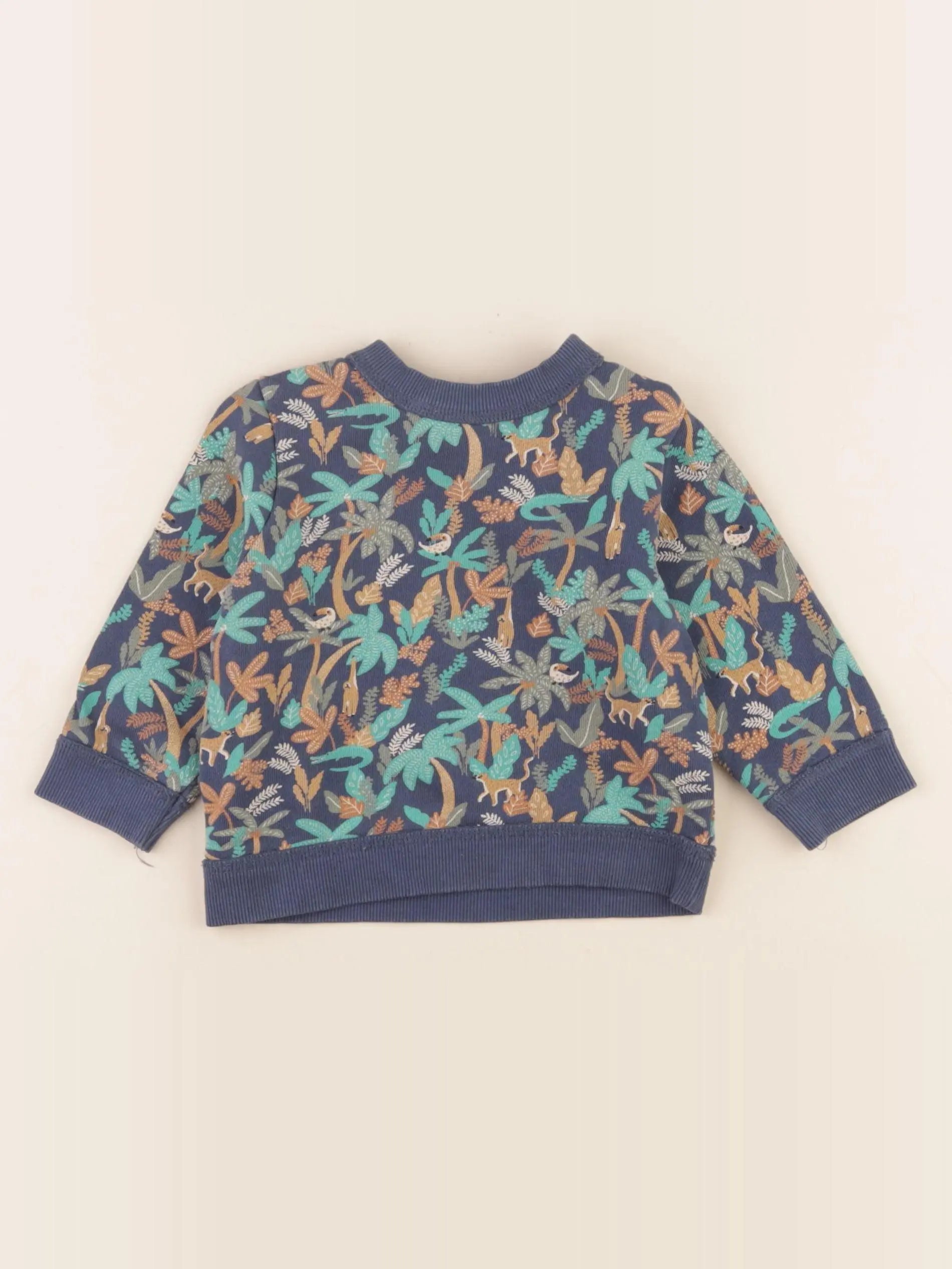 Tape à l'oeil - sweat multicolore - 12 mois