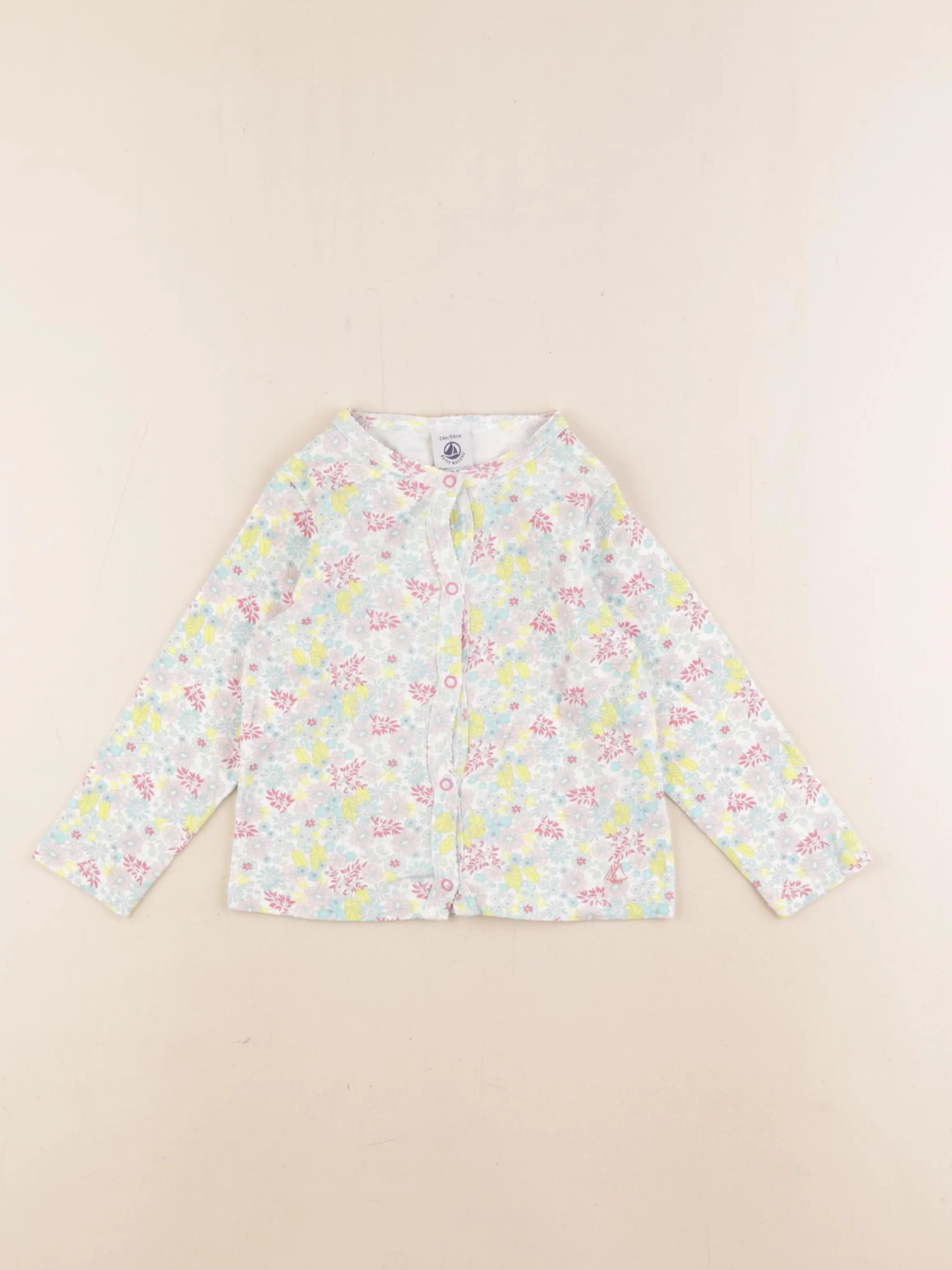Petit Bateau - tee-shirt multicolore - 24 mois