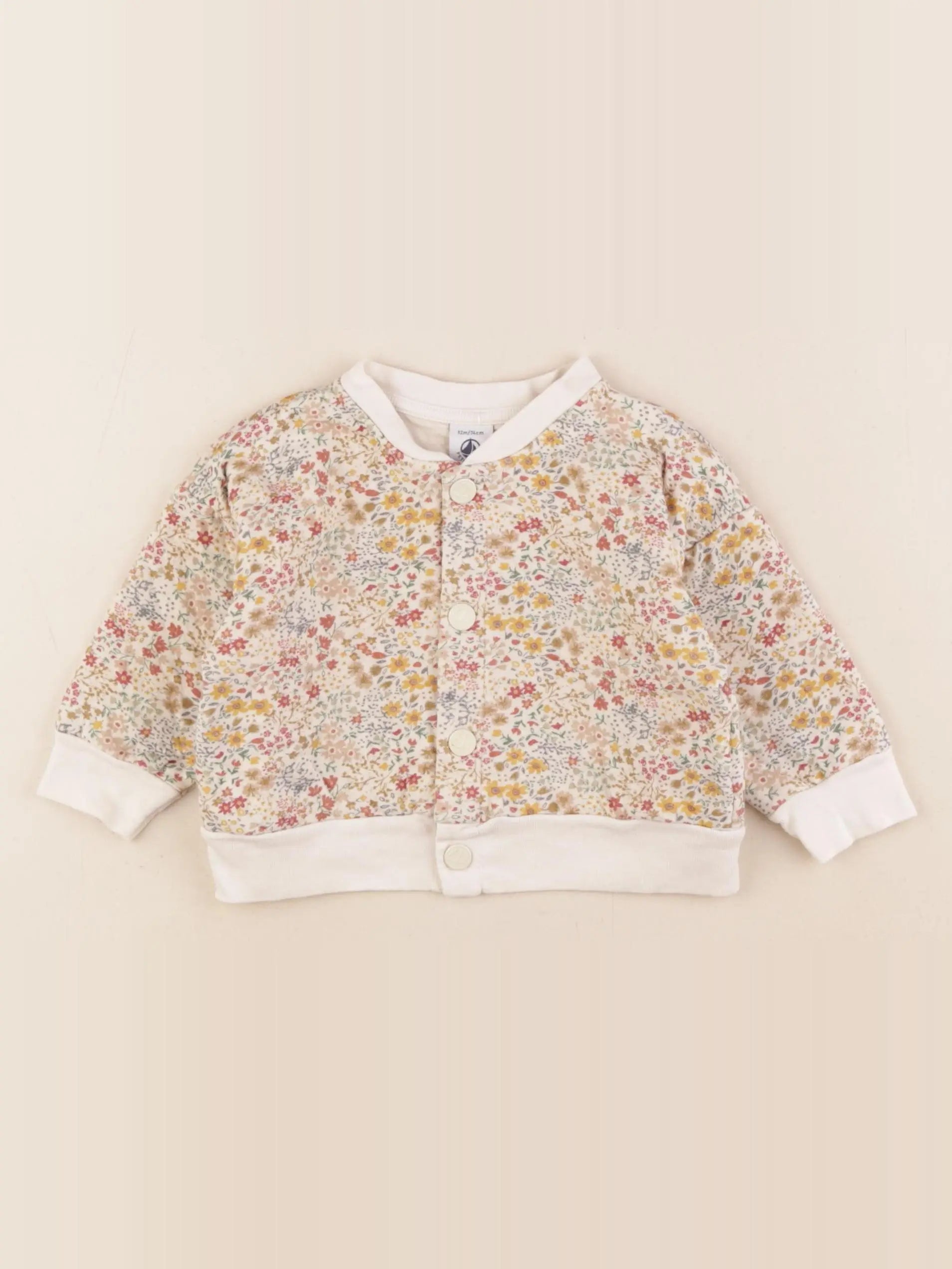 Petit Bateau - sweat multicolore - 12 mois