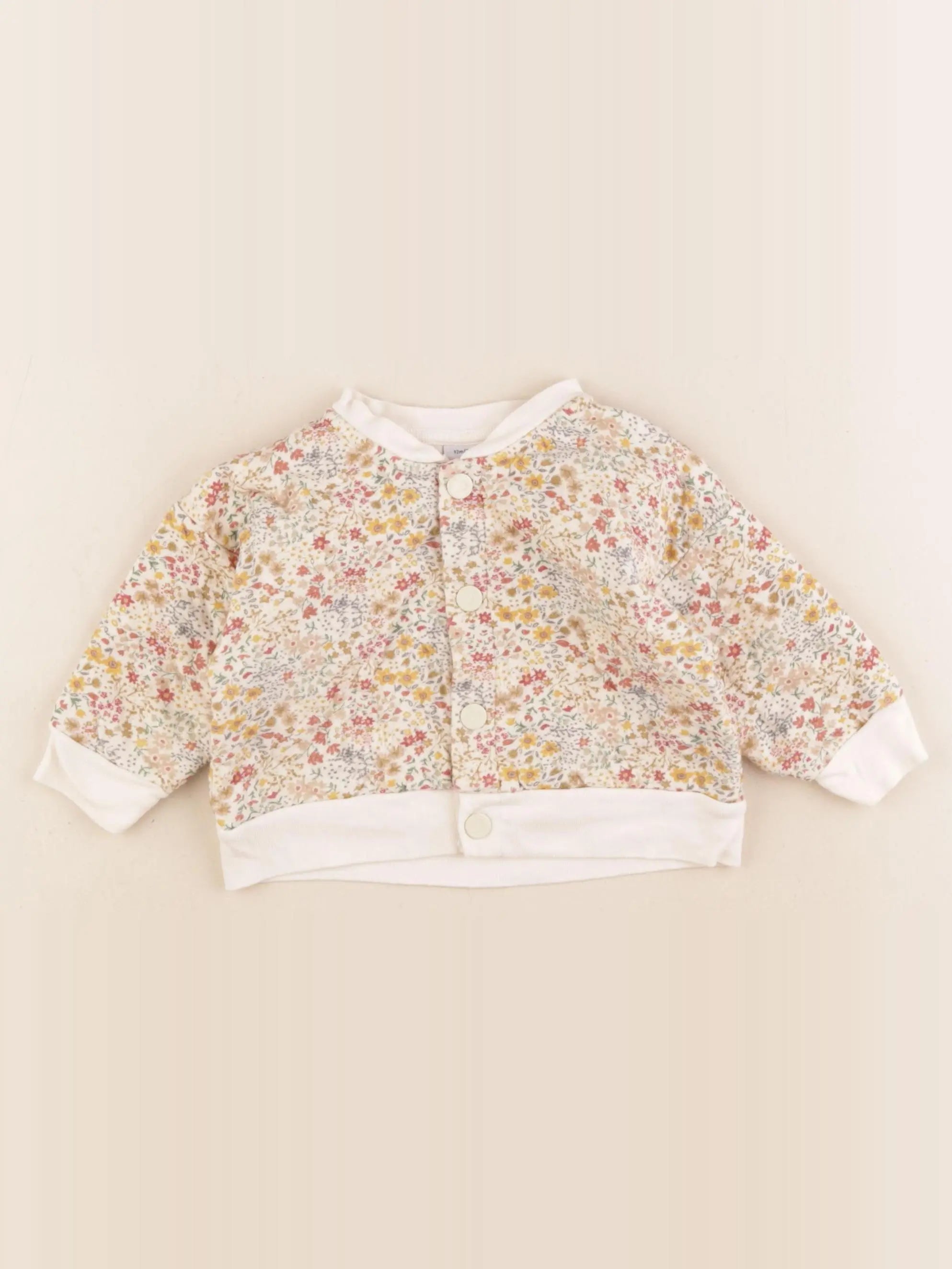 Petit Bateau - sweat multicolore - 12 mois