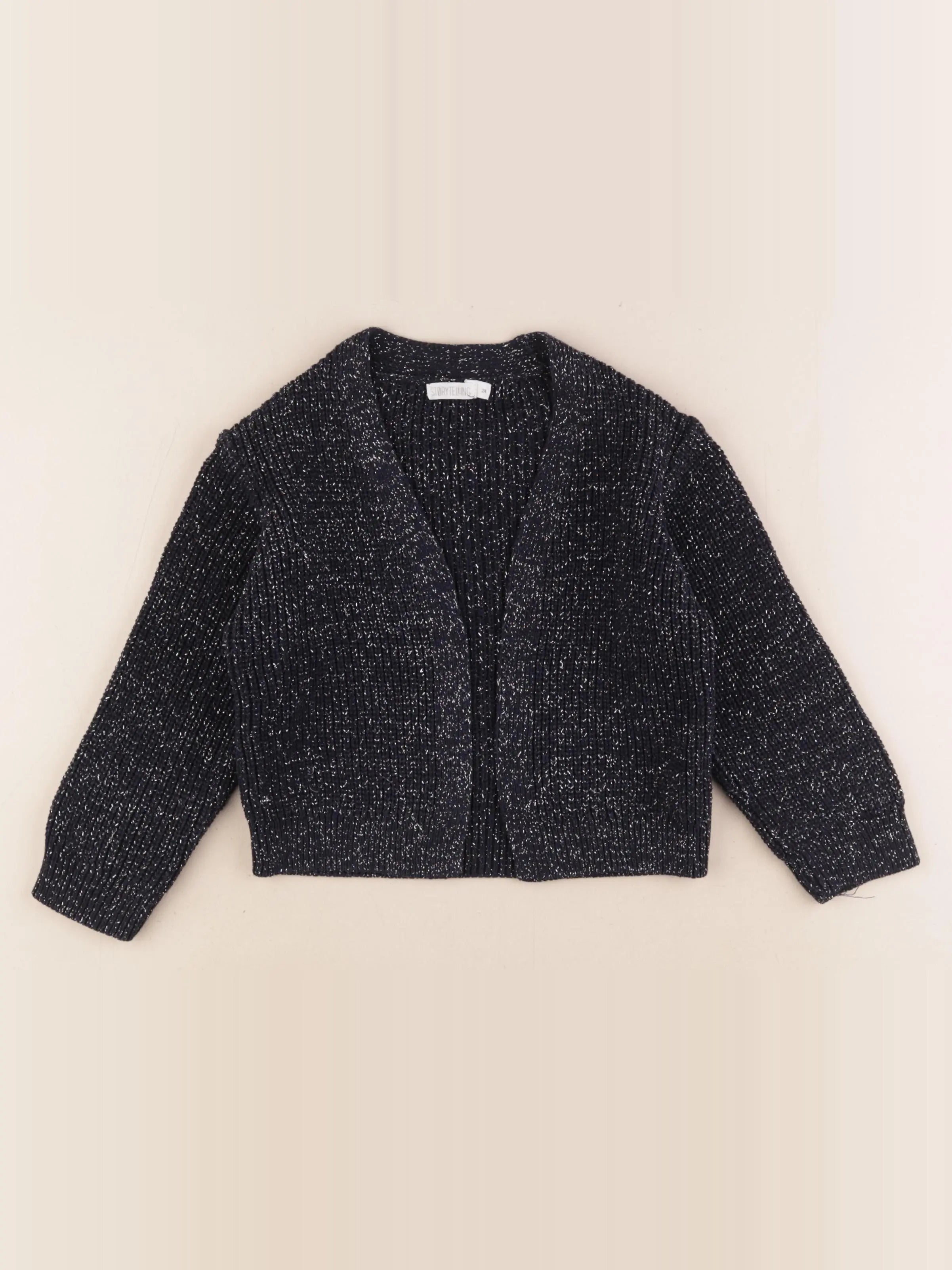 Storytelling - gilet bleu, argent - 2 ans