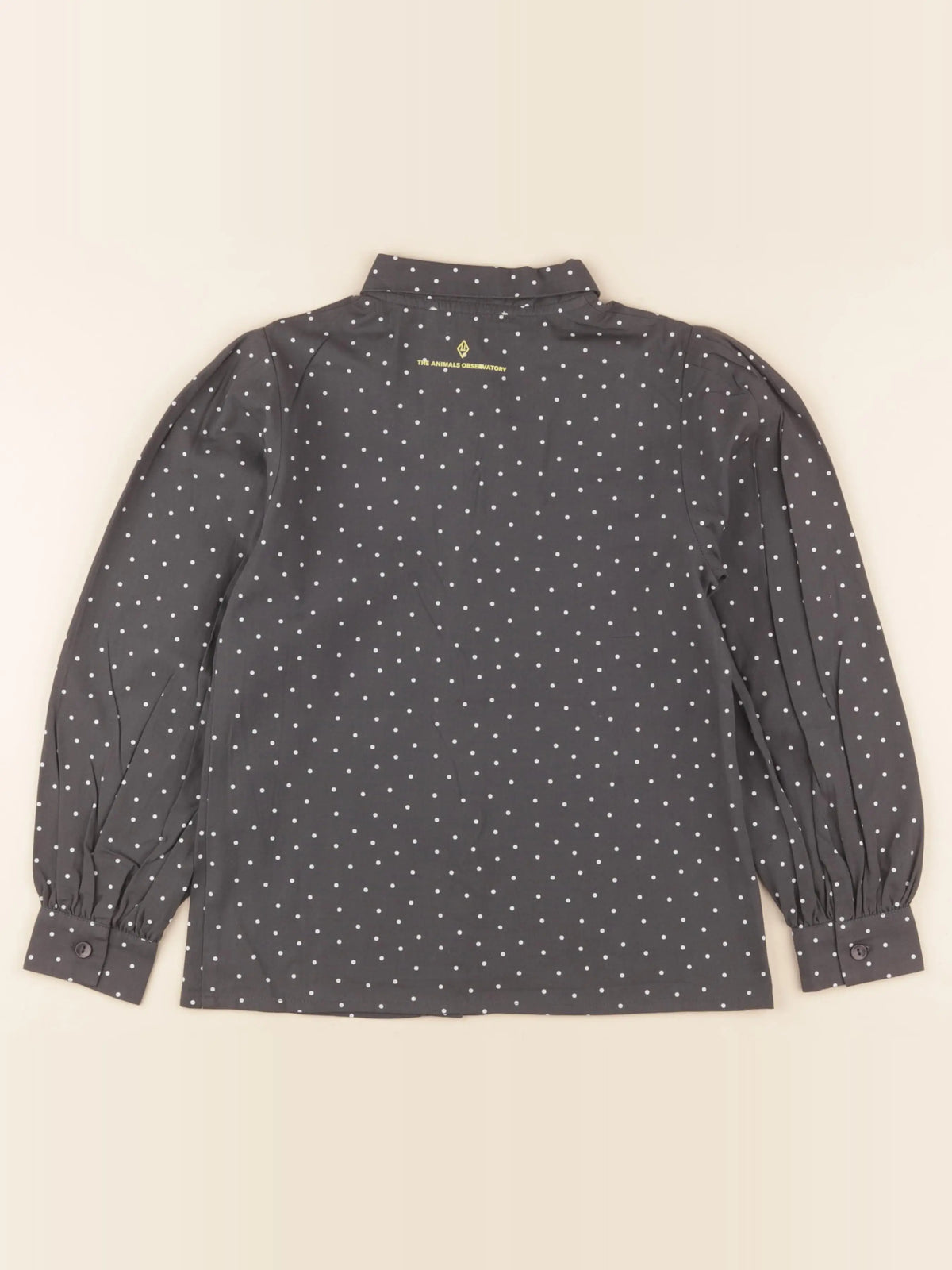 Blouse gris