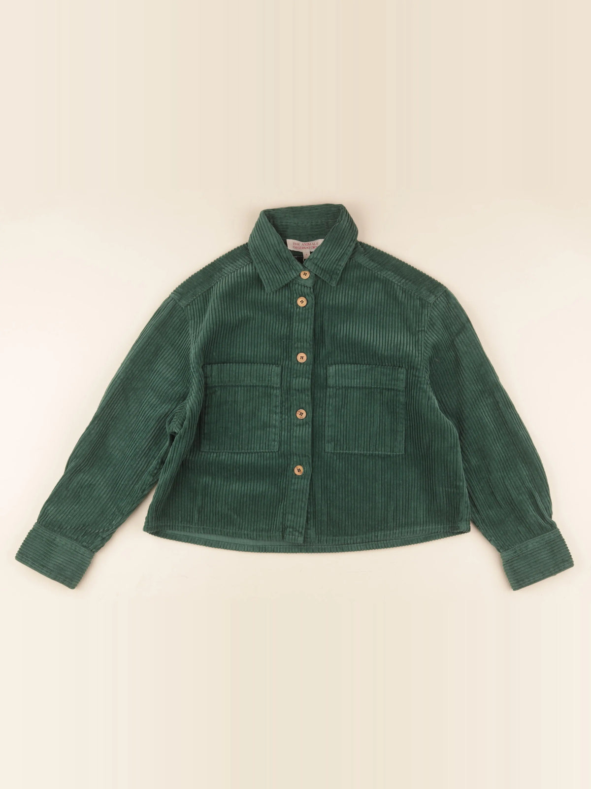 Veste vert