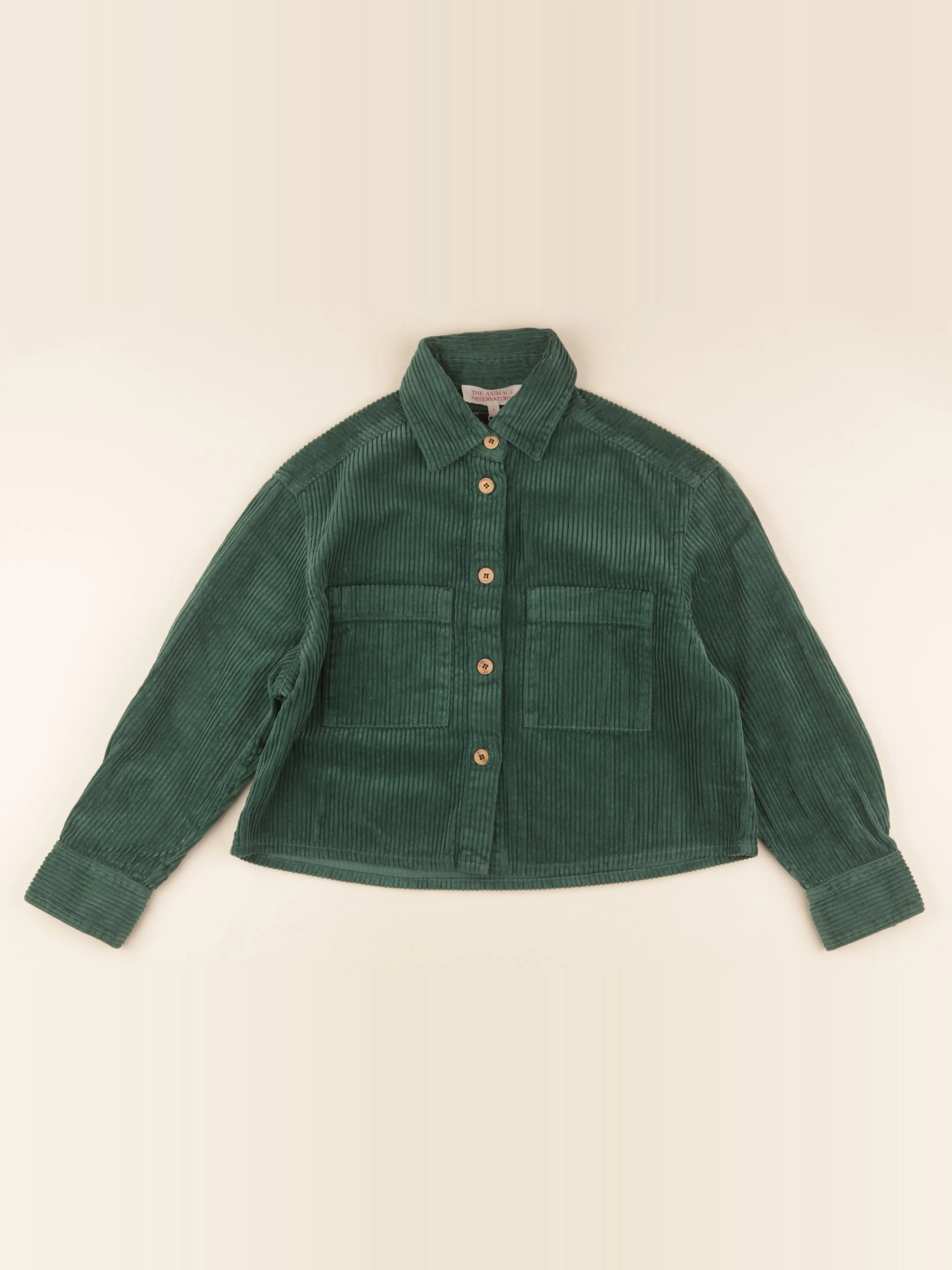 Veste vert