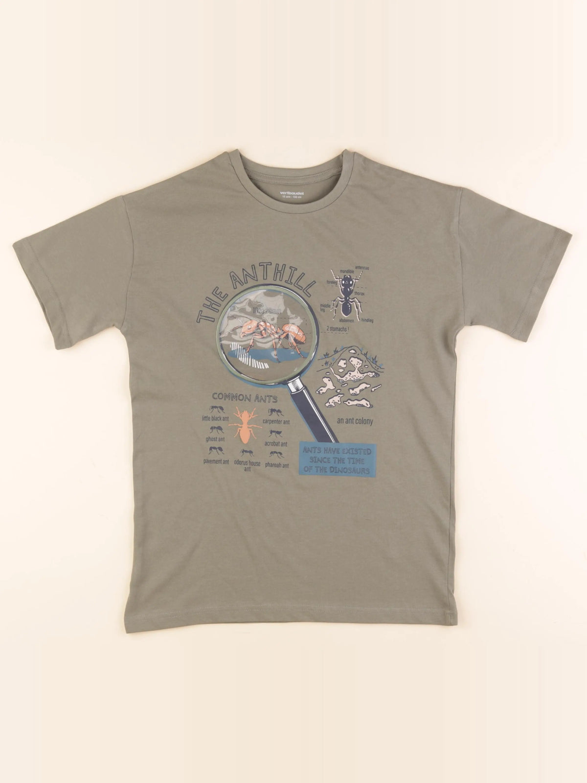 Vertbaudet - tee-shirt vert - 12 ans