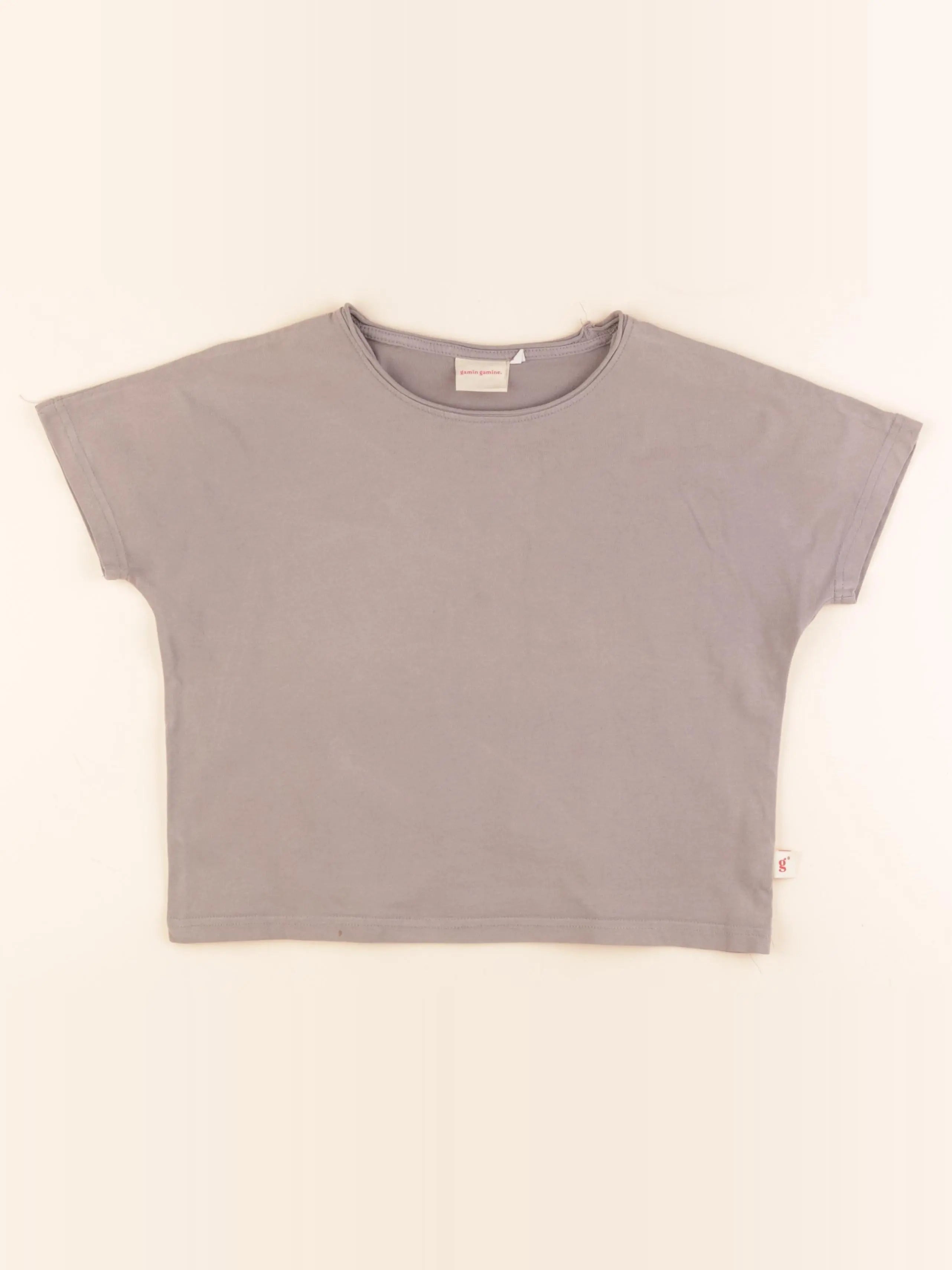 Gamin gamine - tee-shirt gris - 6/7 ans