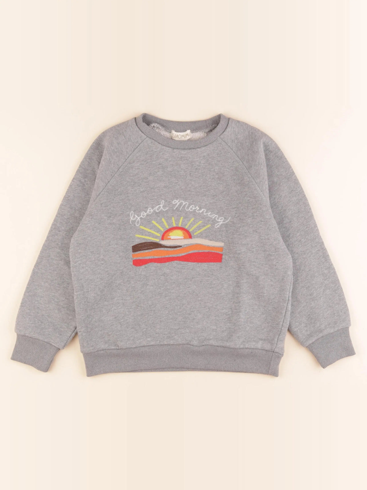 Sweat gris