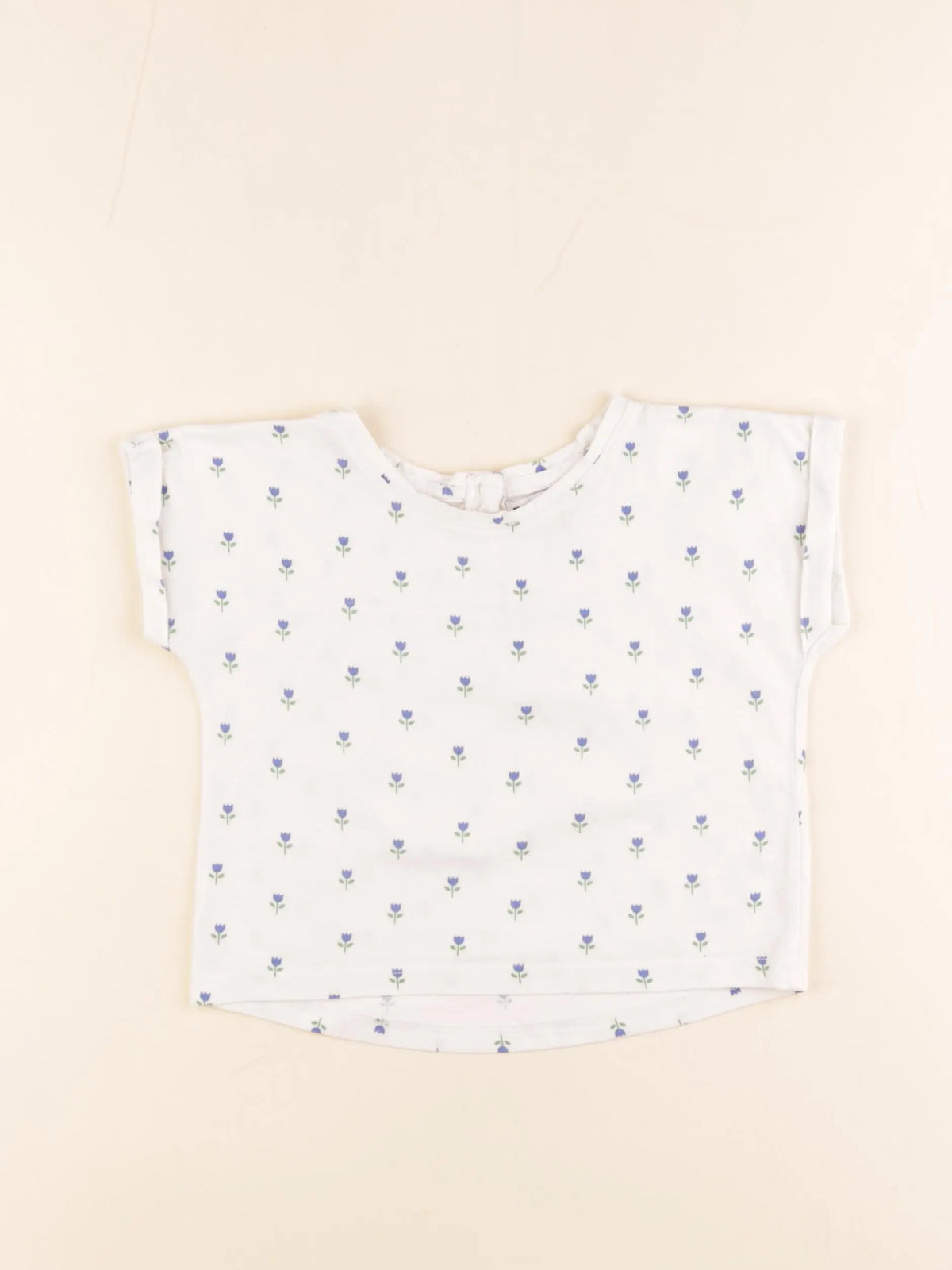 Emile et Ida - tee-shirt beige, bleu - 2 ans