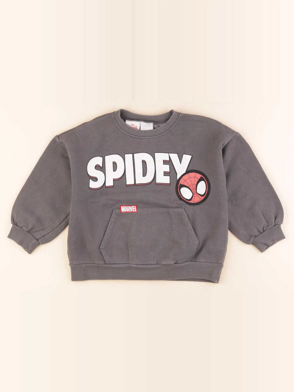 Zara - sweat imprimé au dos gris - 6 ans