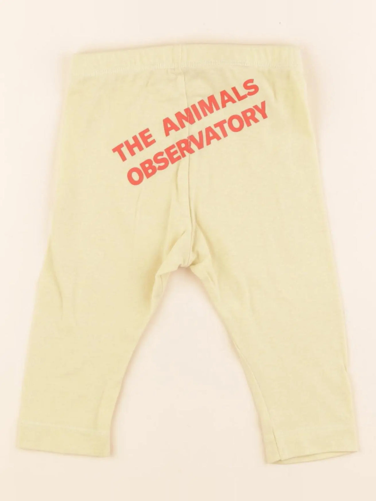 The animals observatory - legging jaune - 6 mois