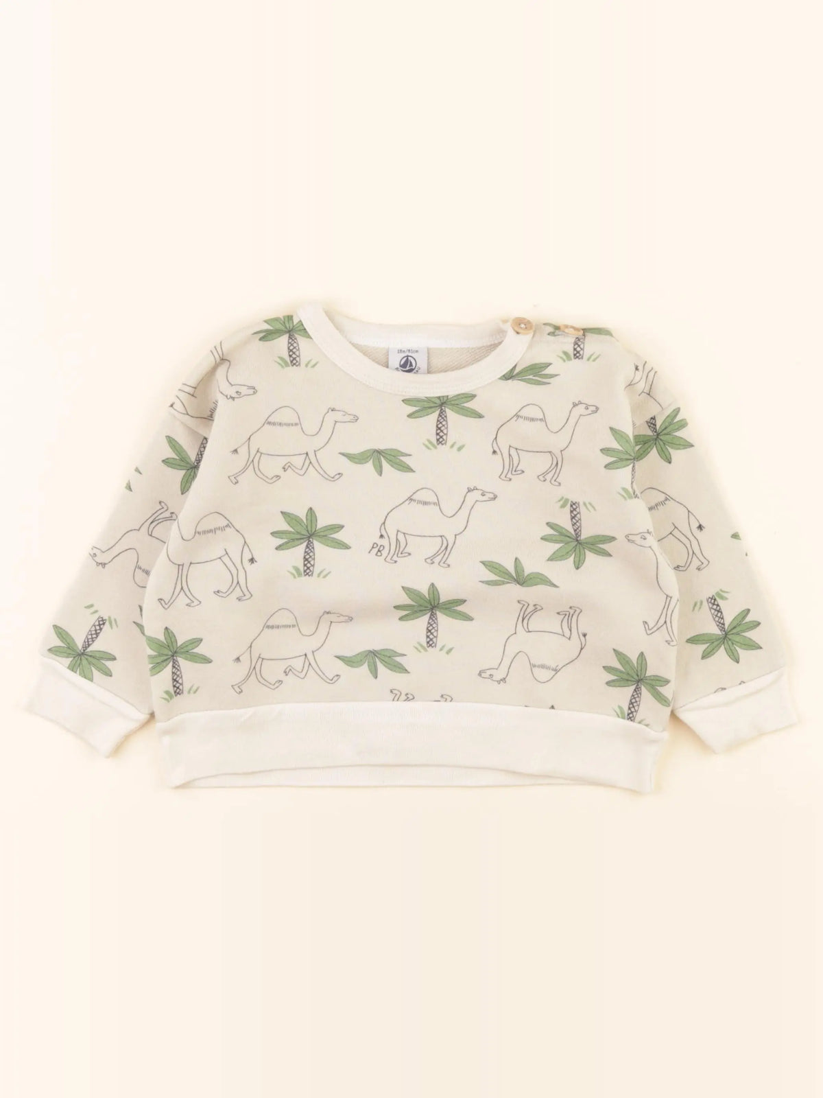 Sweat multicolore