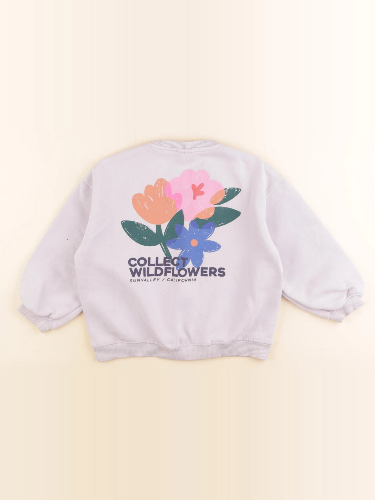 Zara - sweat imprimé au dos violet - 6 ans