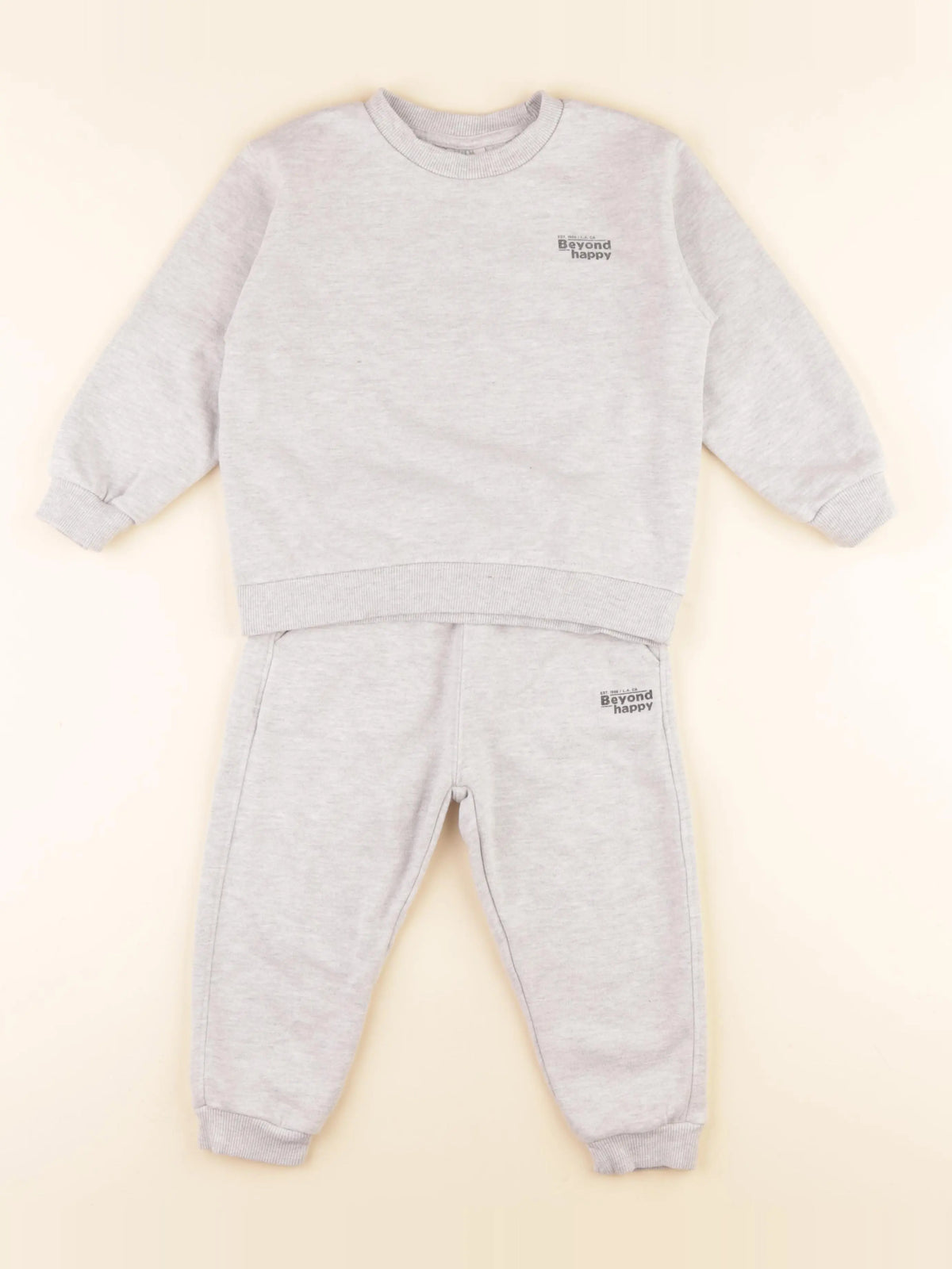 Zara - ensemble gris - 2/3 ans