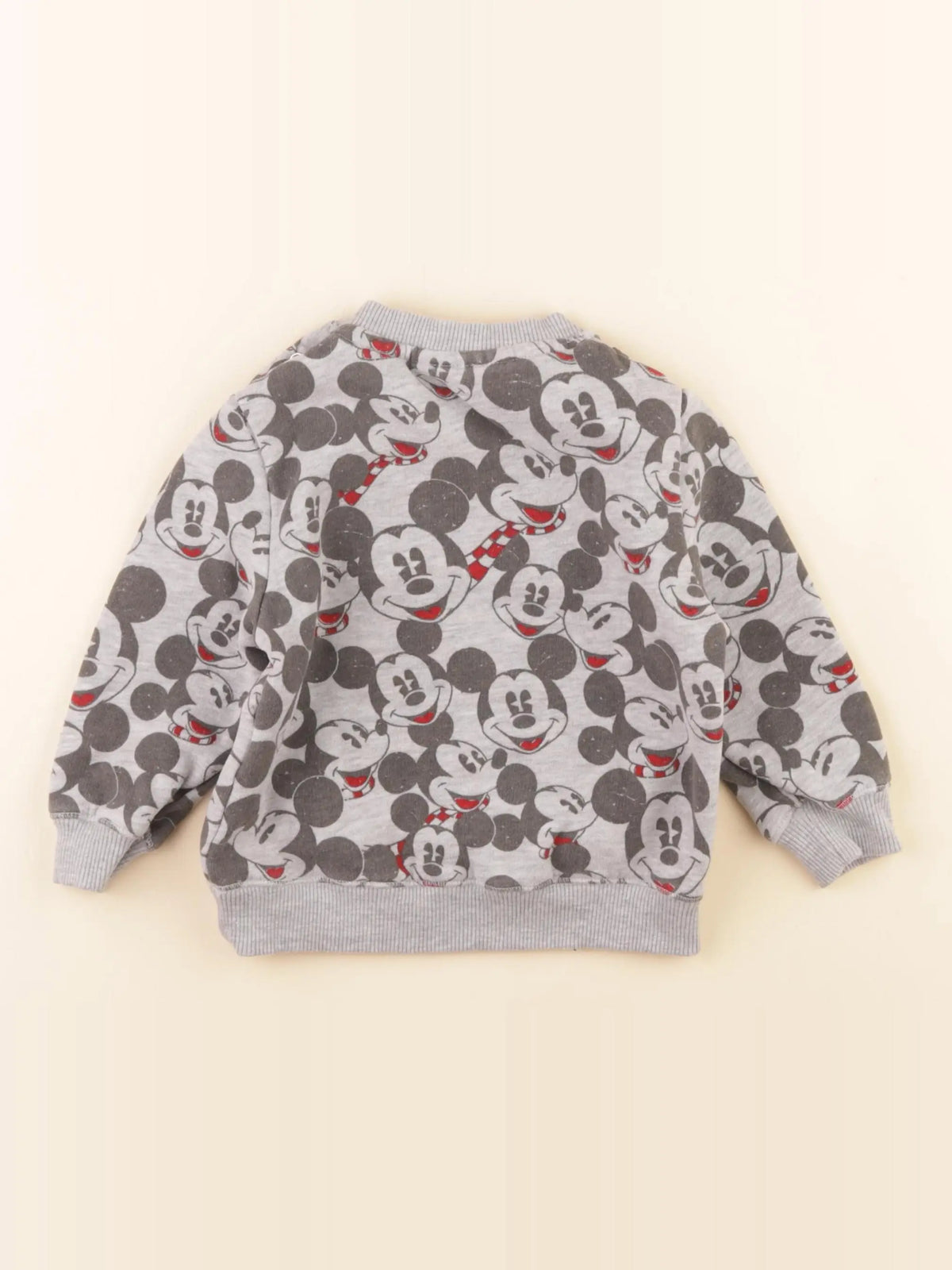 Zara - sweat gris - 12/18 mois