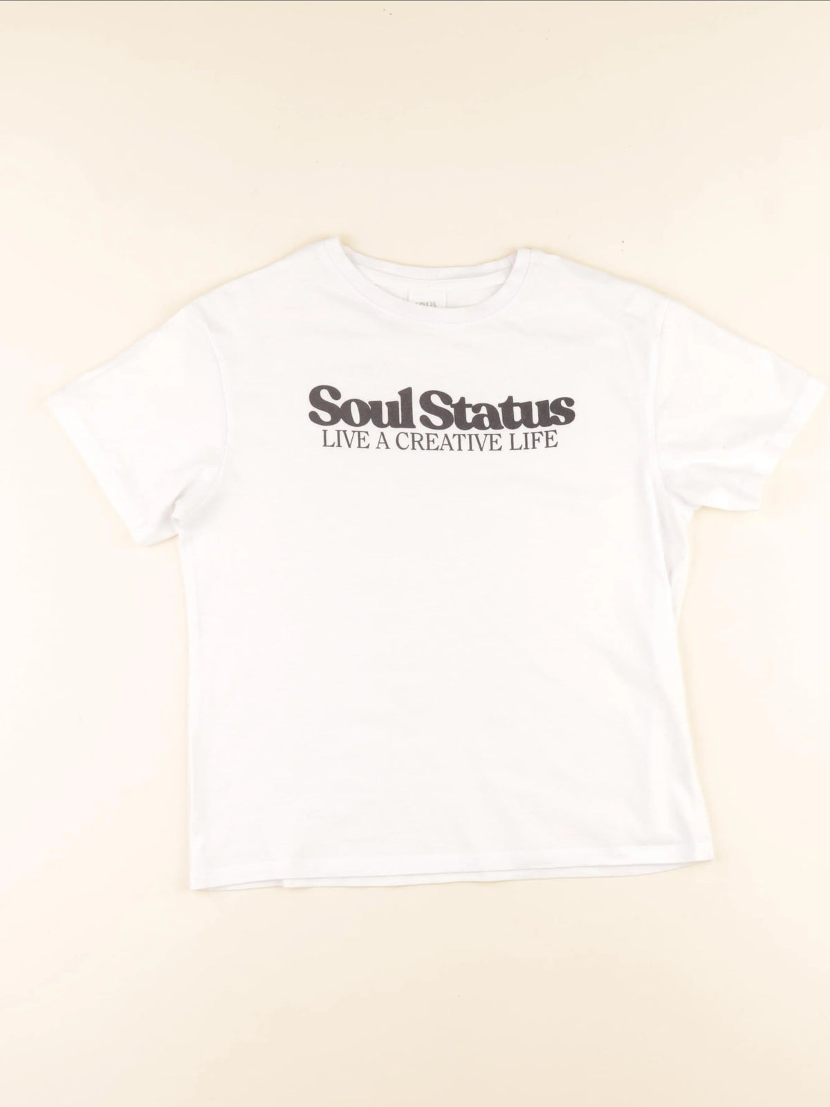 Zara - tee-shirt blanc - 9/10 ans