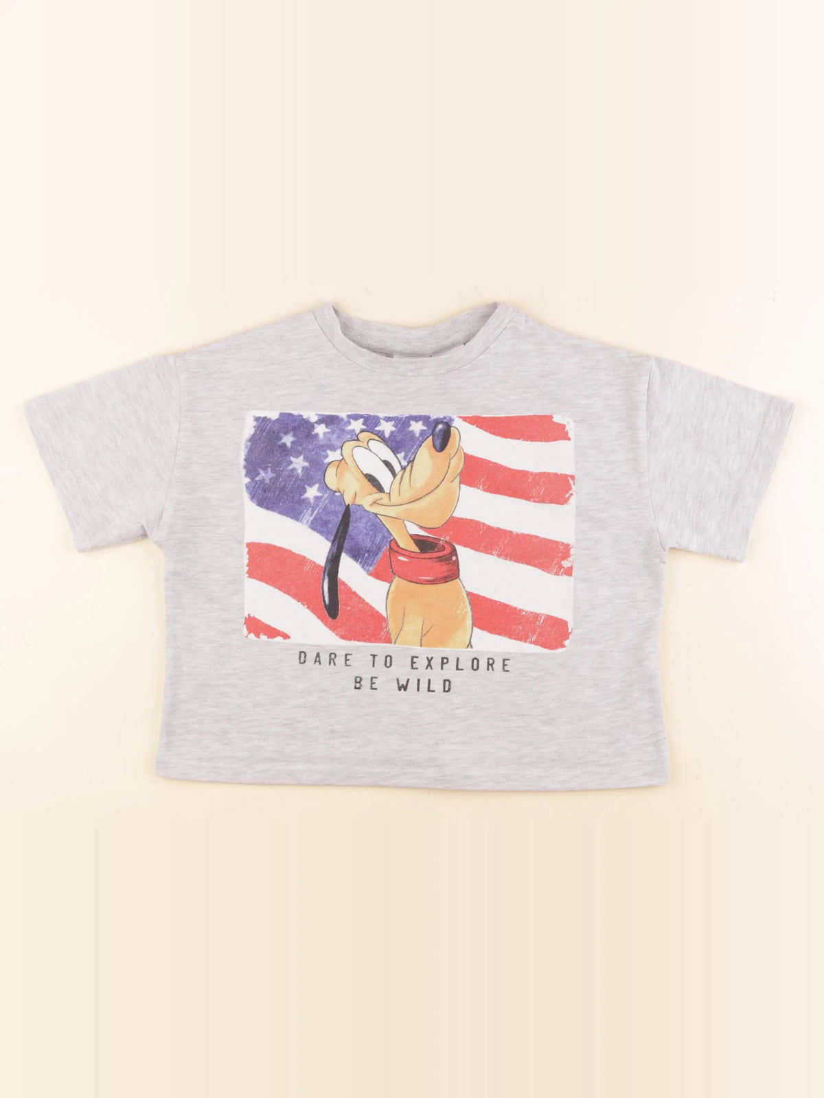 Zara - tee-shirt gris - 8/9 ans