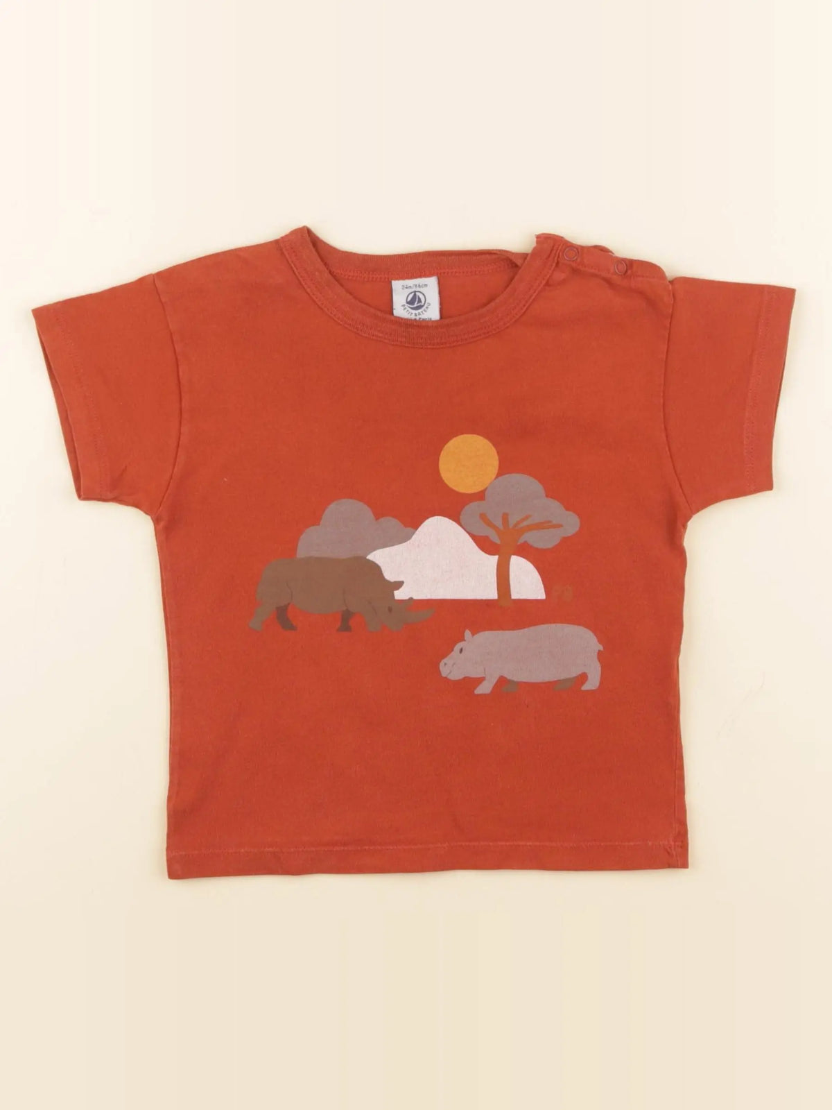 Petit Bateau - tee-shirt multicolore - 24 mois