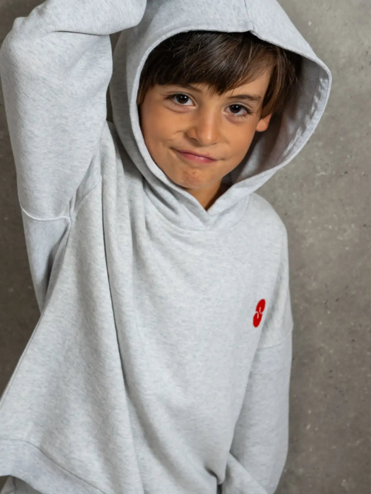 Le Sweat Capuche Gris chiné