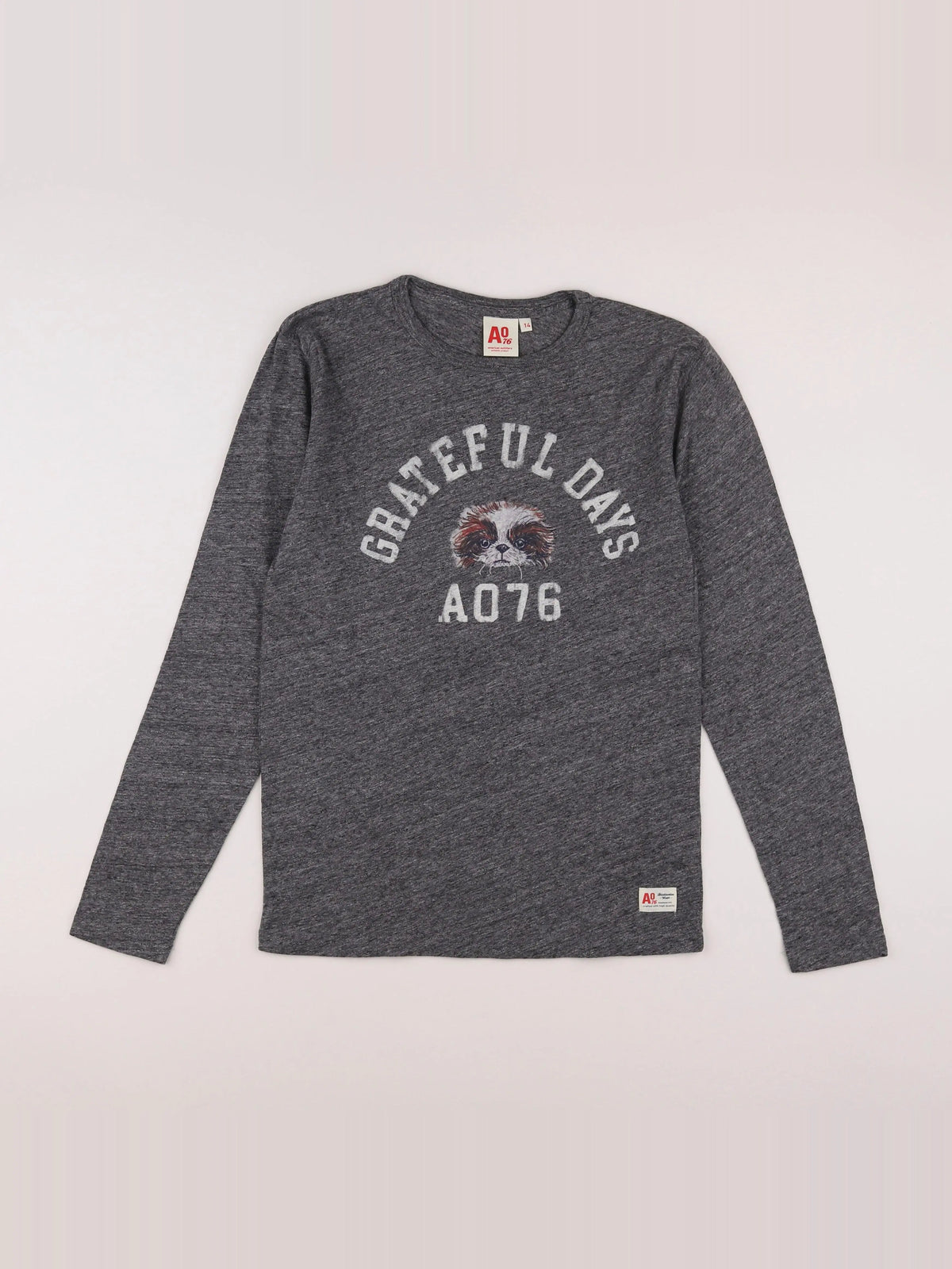 American Outfitters - tee-shirt gris - 14 ans