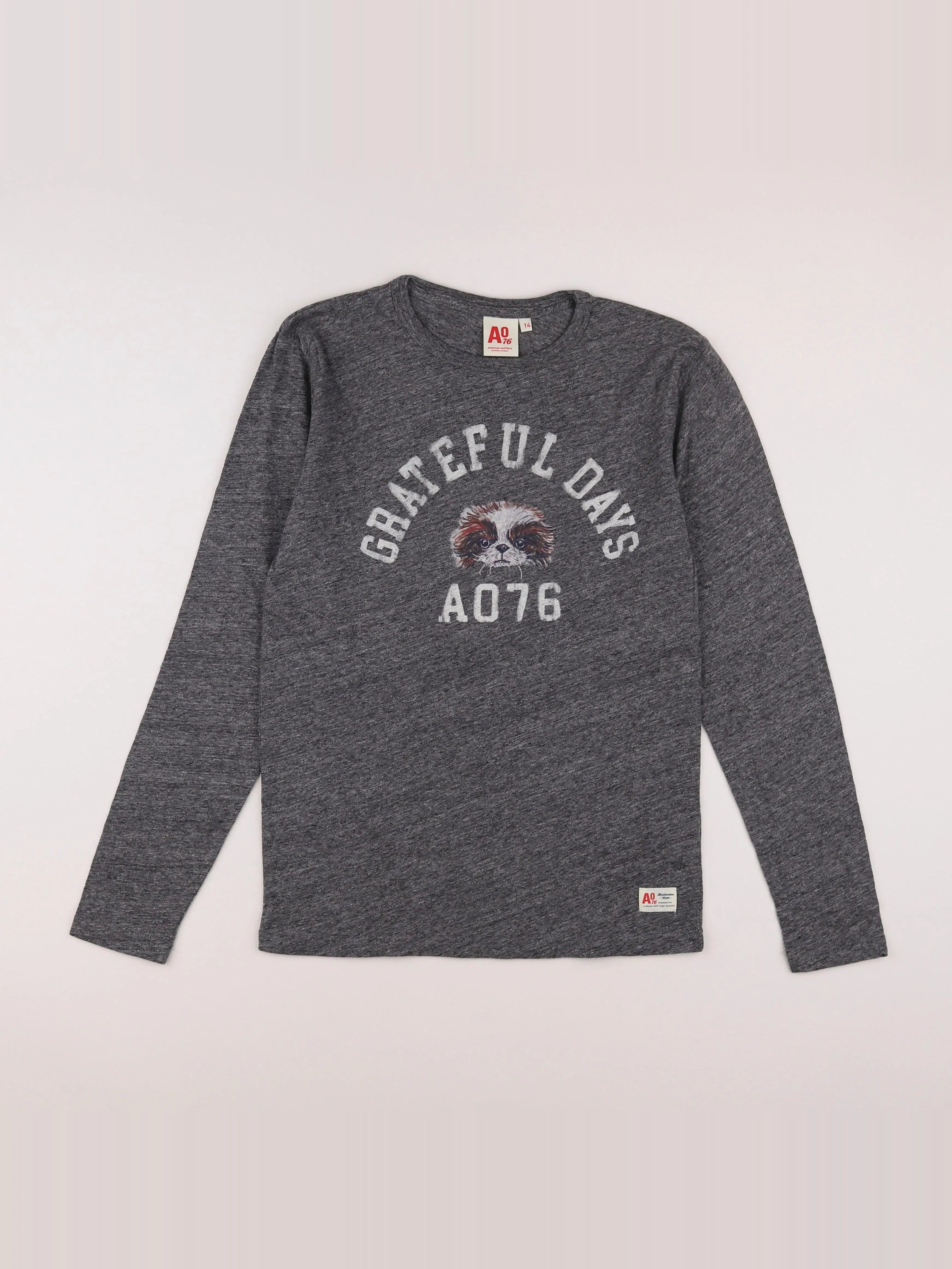 American Outfitters - tee-shirt gris - 14 ans