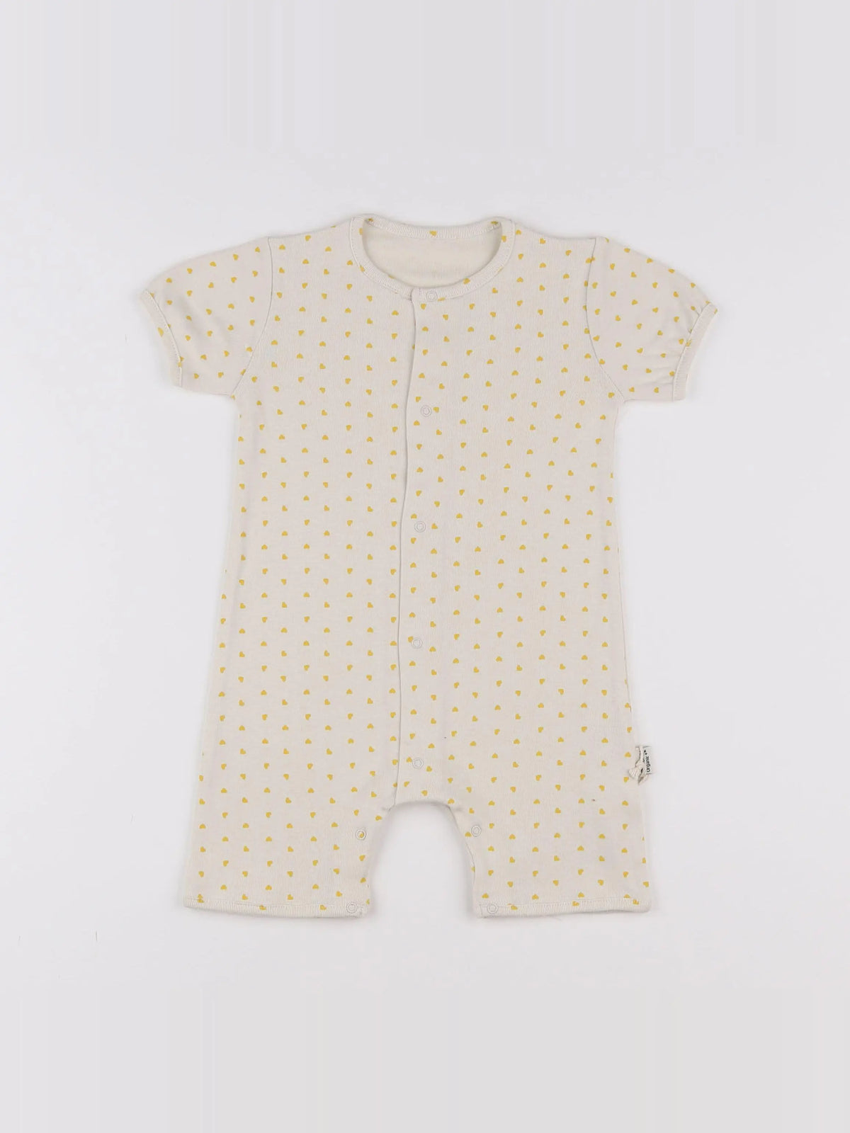 Combicourt Fenouil Coeurs Mimosa