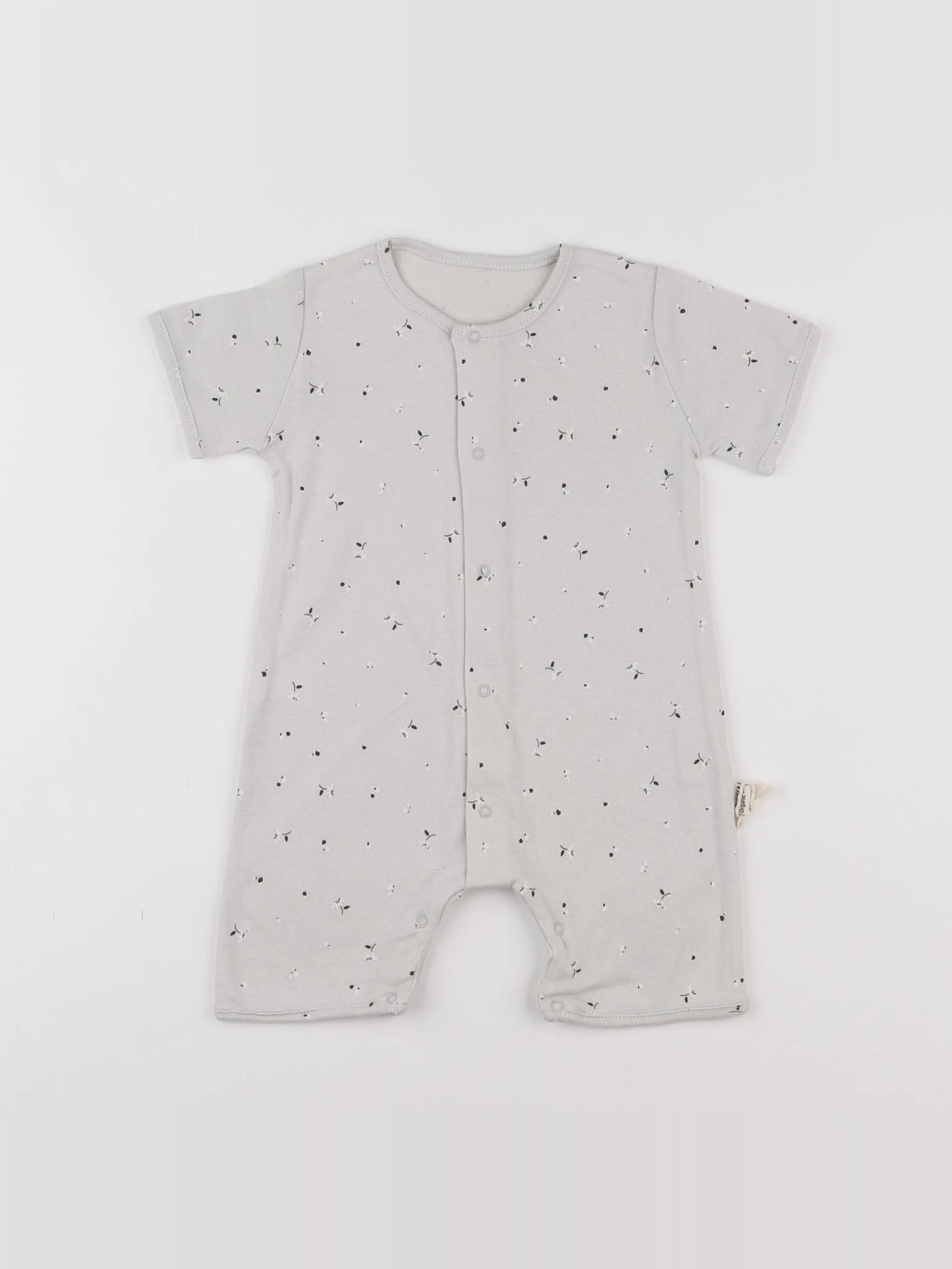 Combicourt Fenouil Fleurs Lunar Rock