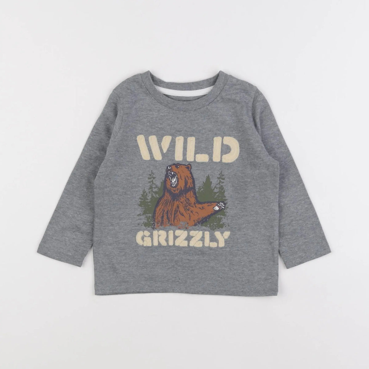 Vertbaudet - tee-shirt gris - 2 ans
