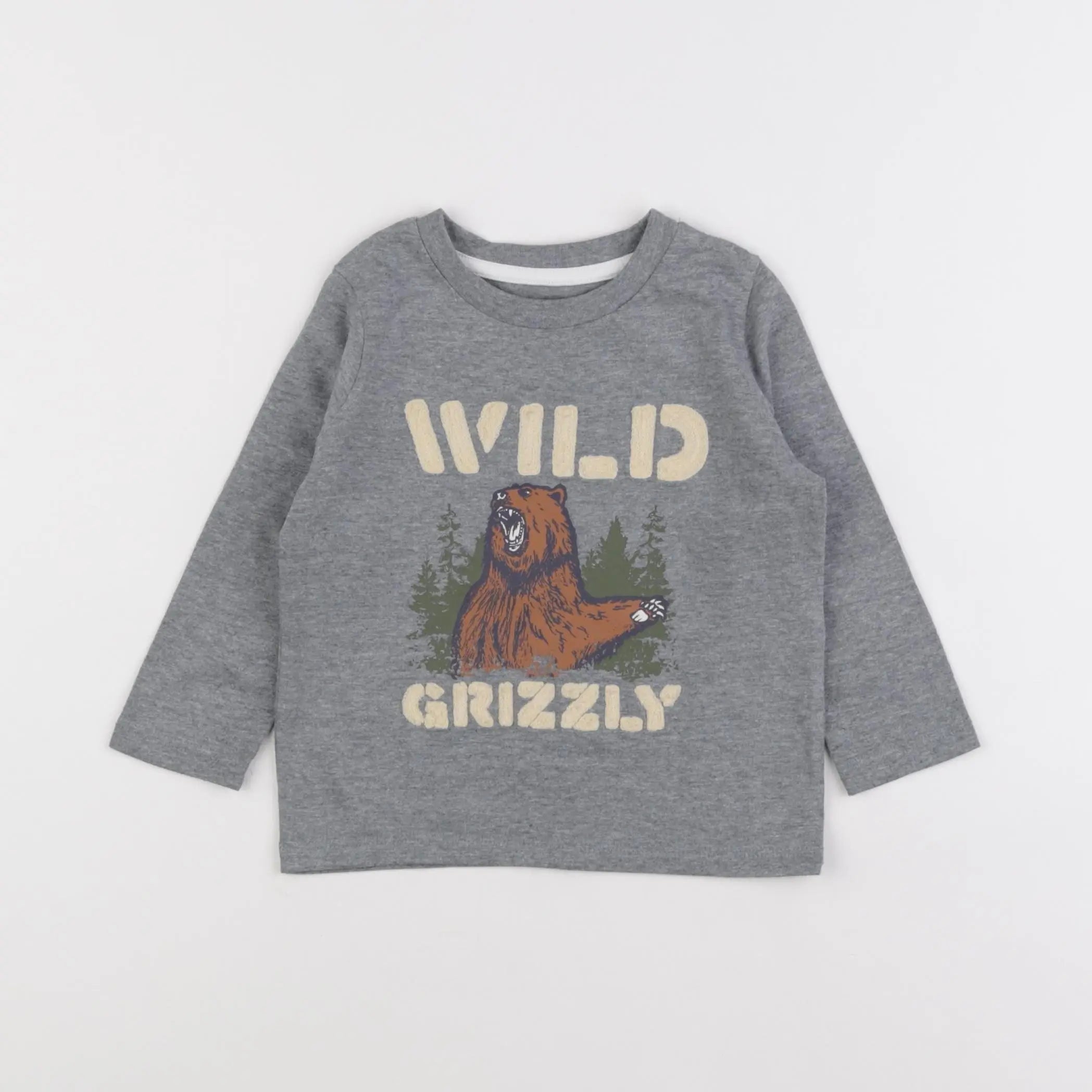 Vertbaudet - tee-shirt gris - 2 ans