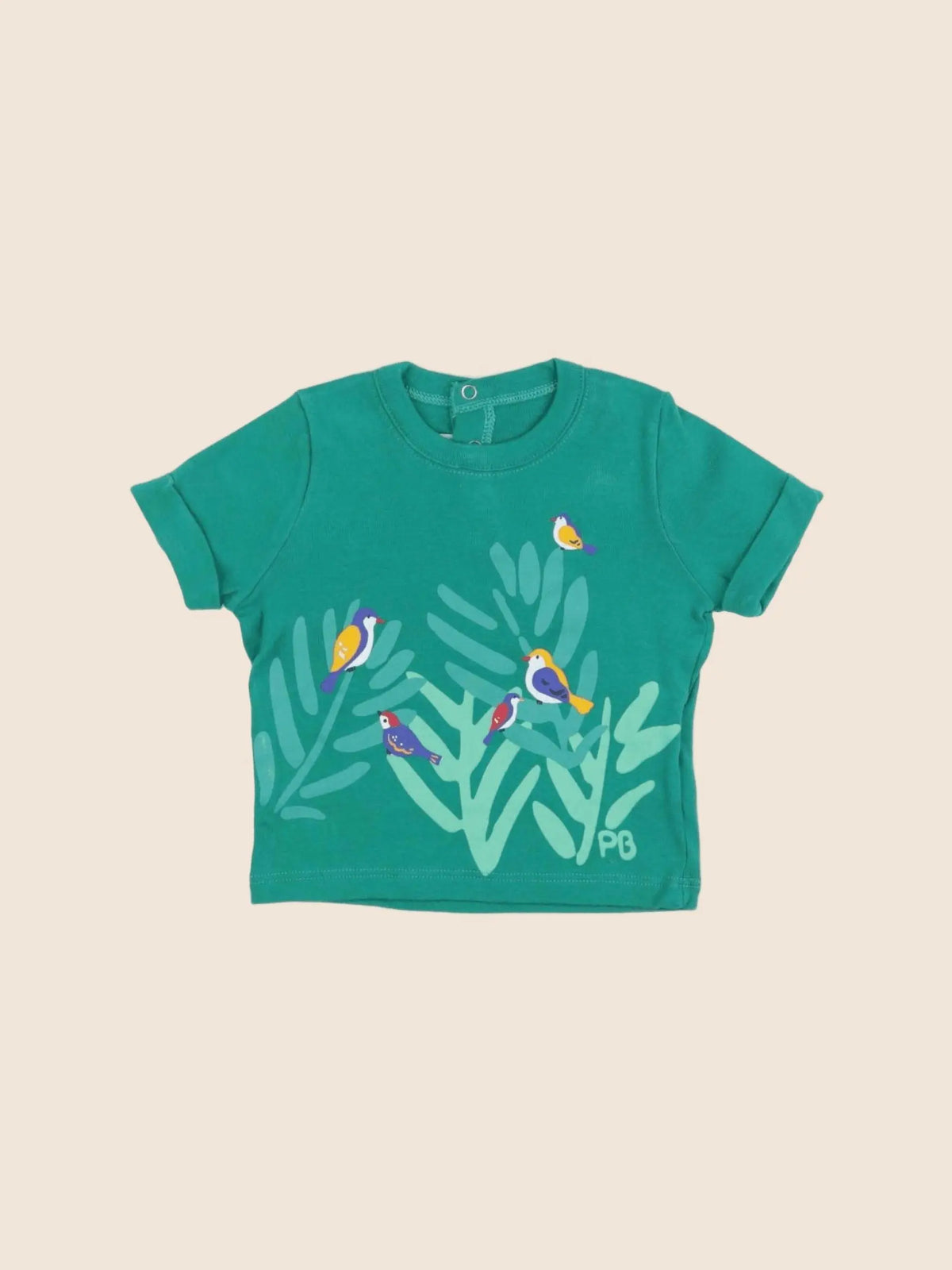 Petit Bateau - tee-shirt vert - 6 mois