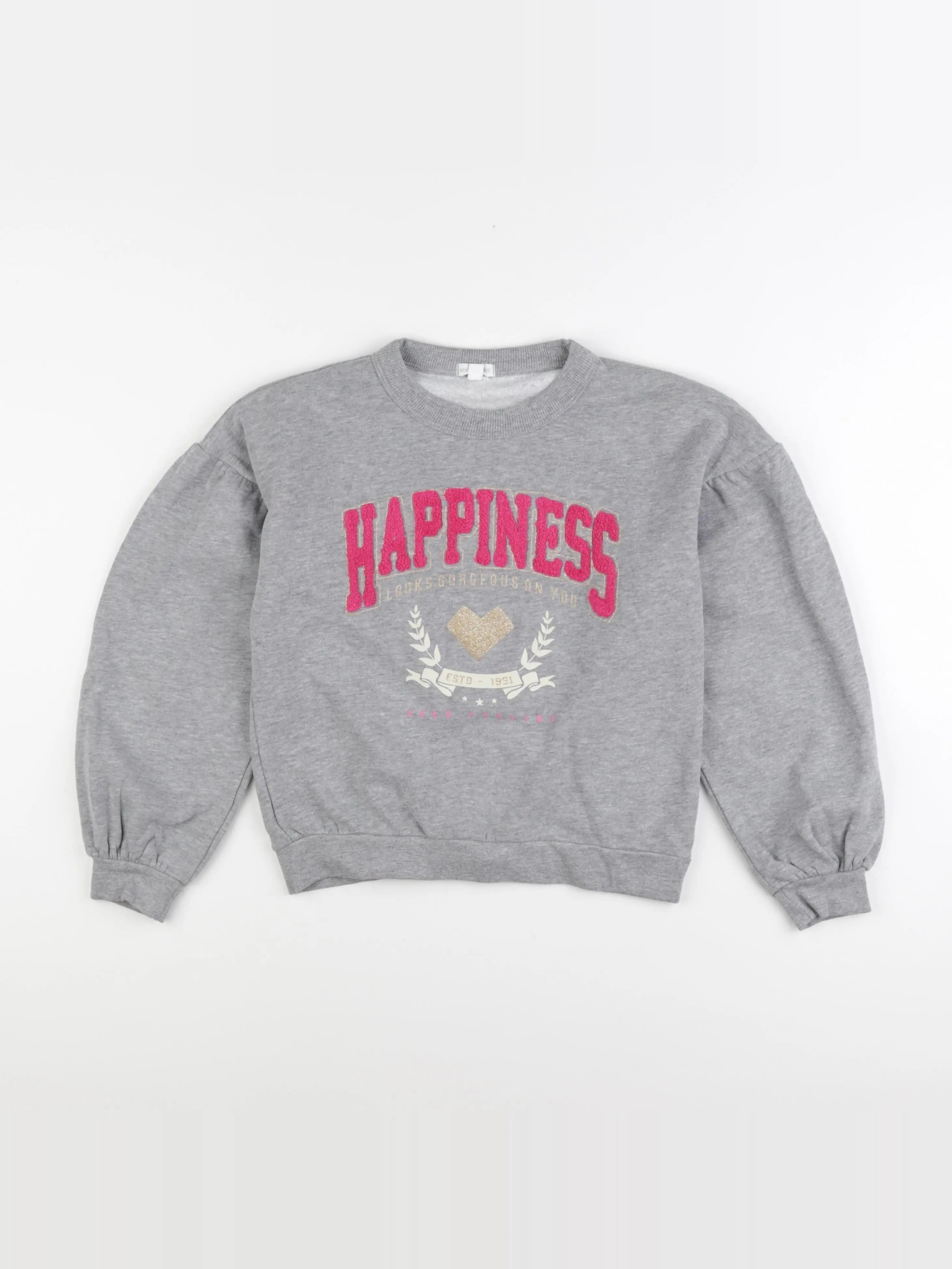 Vertbaudet - sweat gris - 10 ans