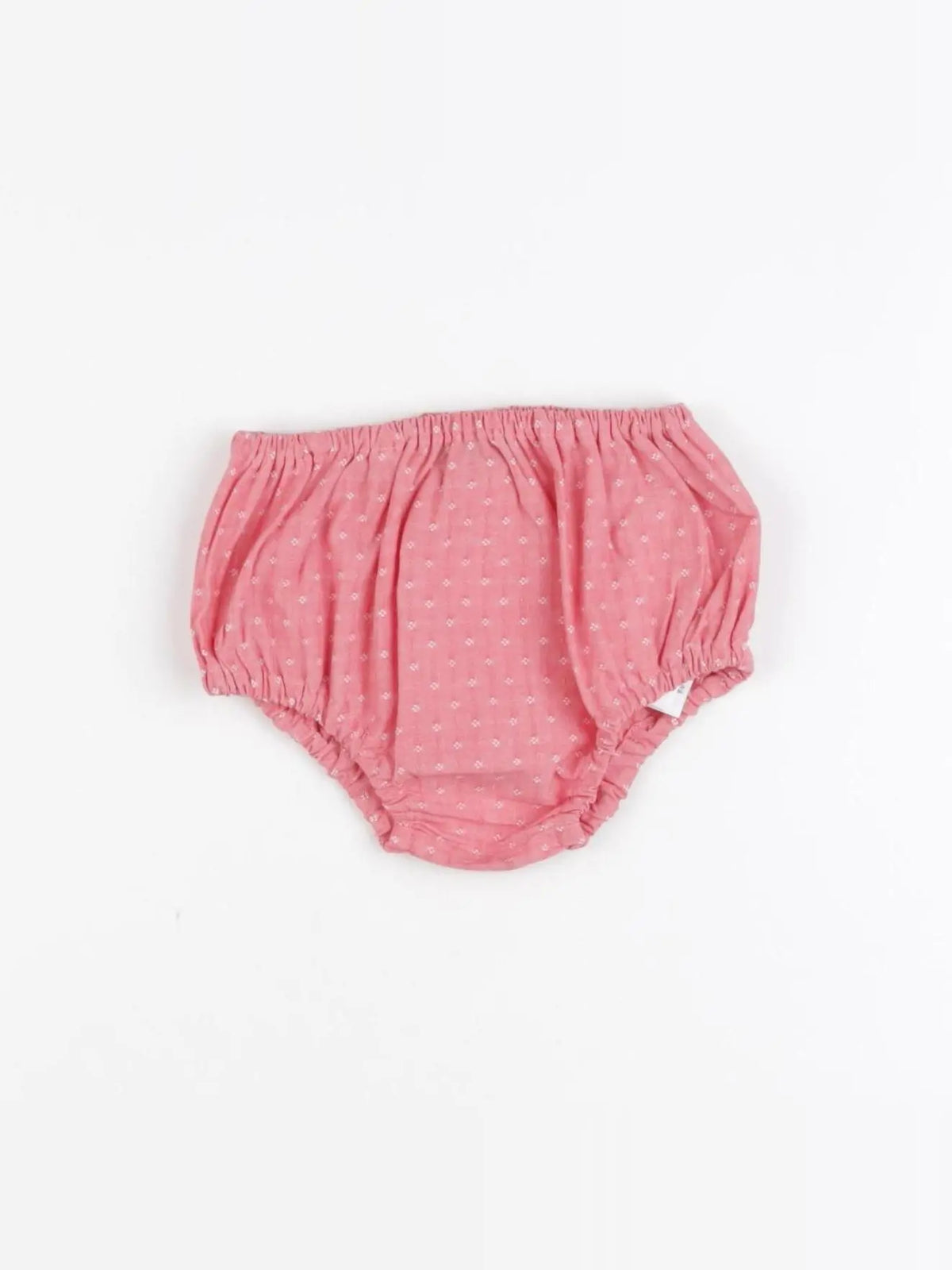 Sergent Major - bloomer rose - 3 mois