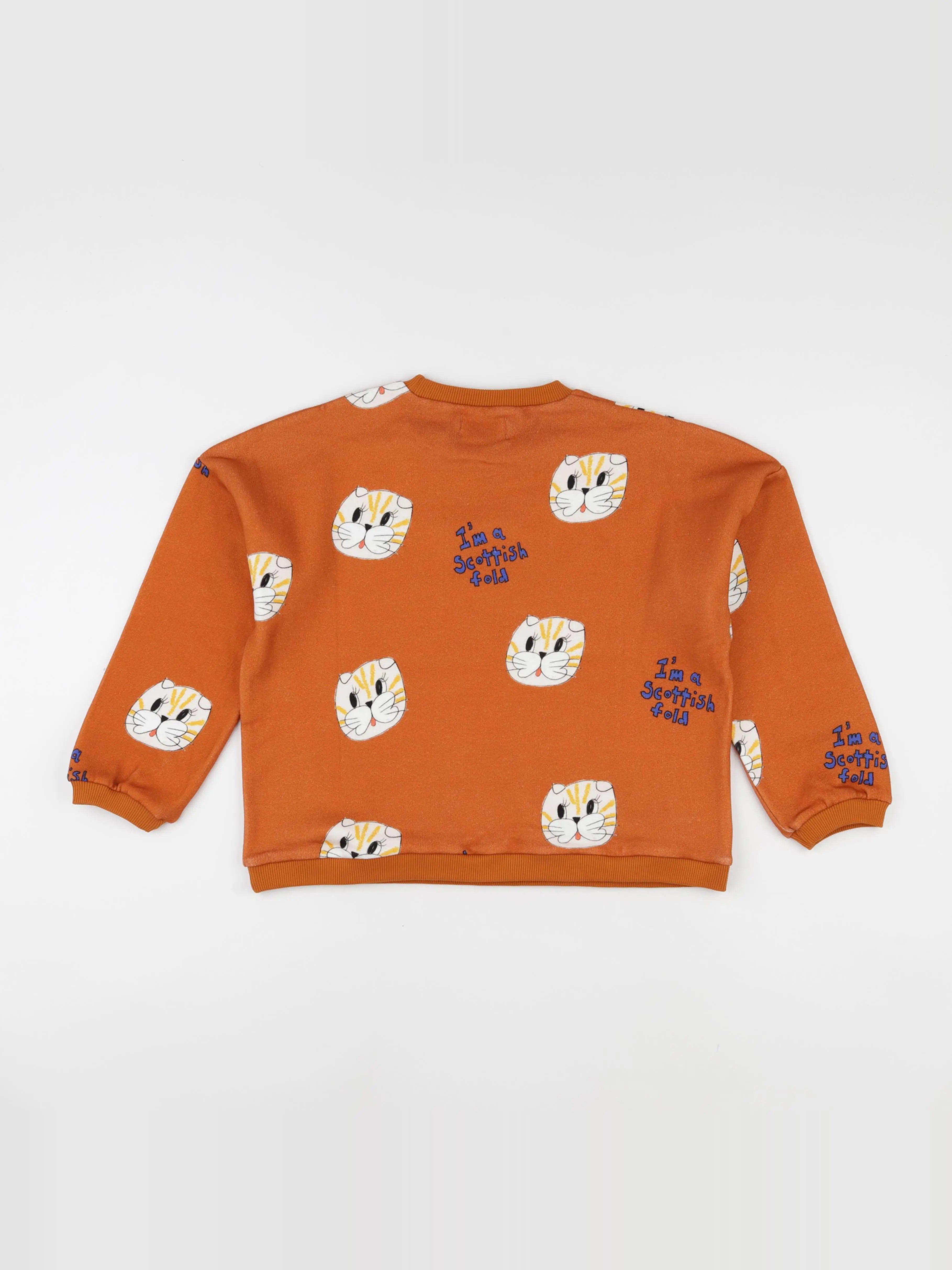 Sweat Cat orange