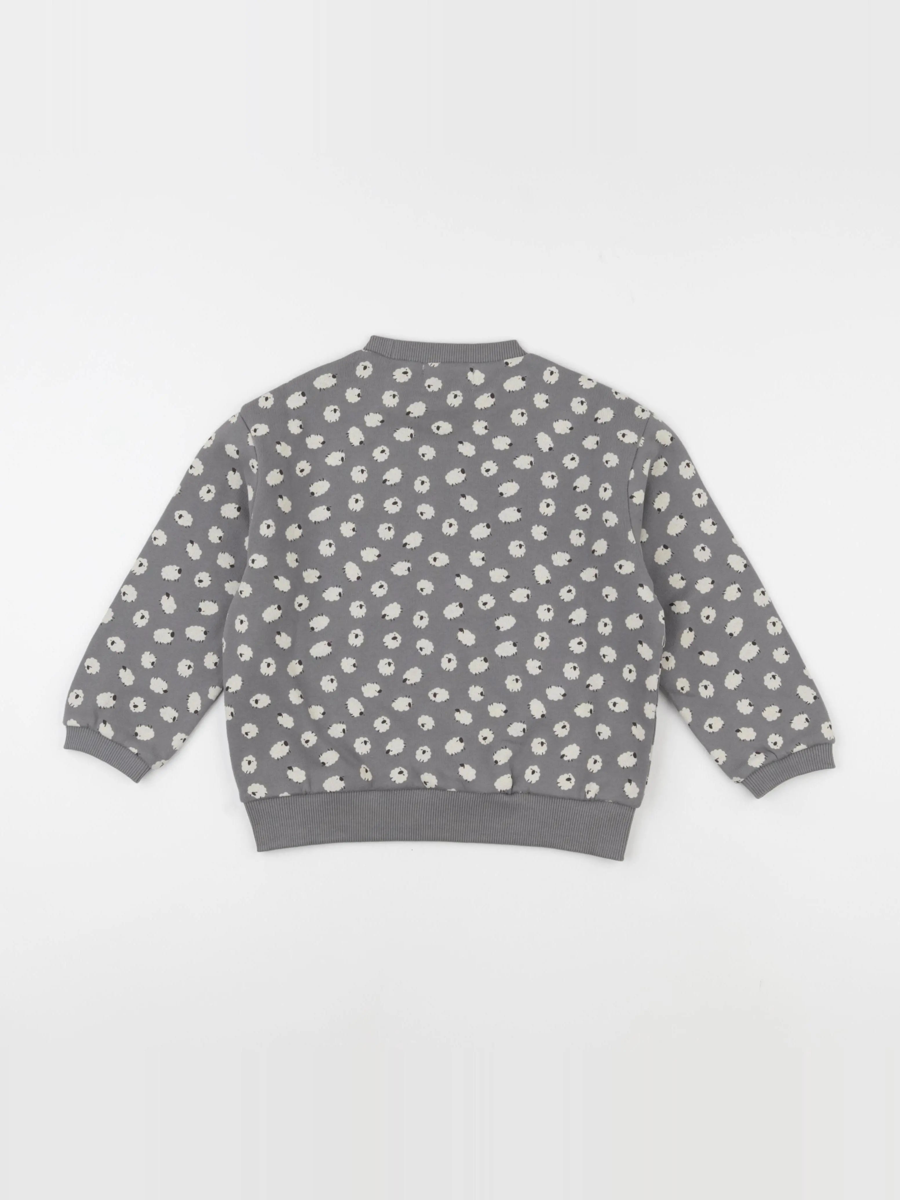 Sweat Sheep gris