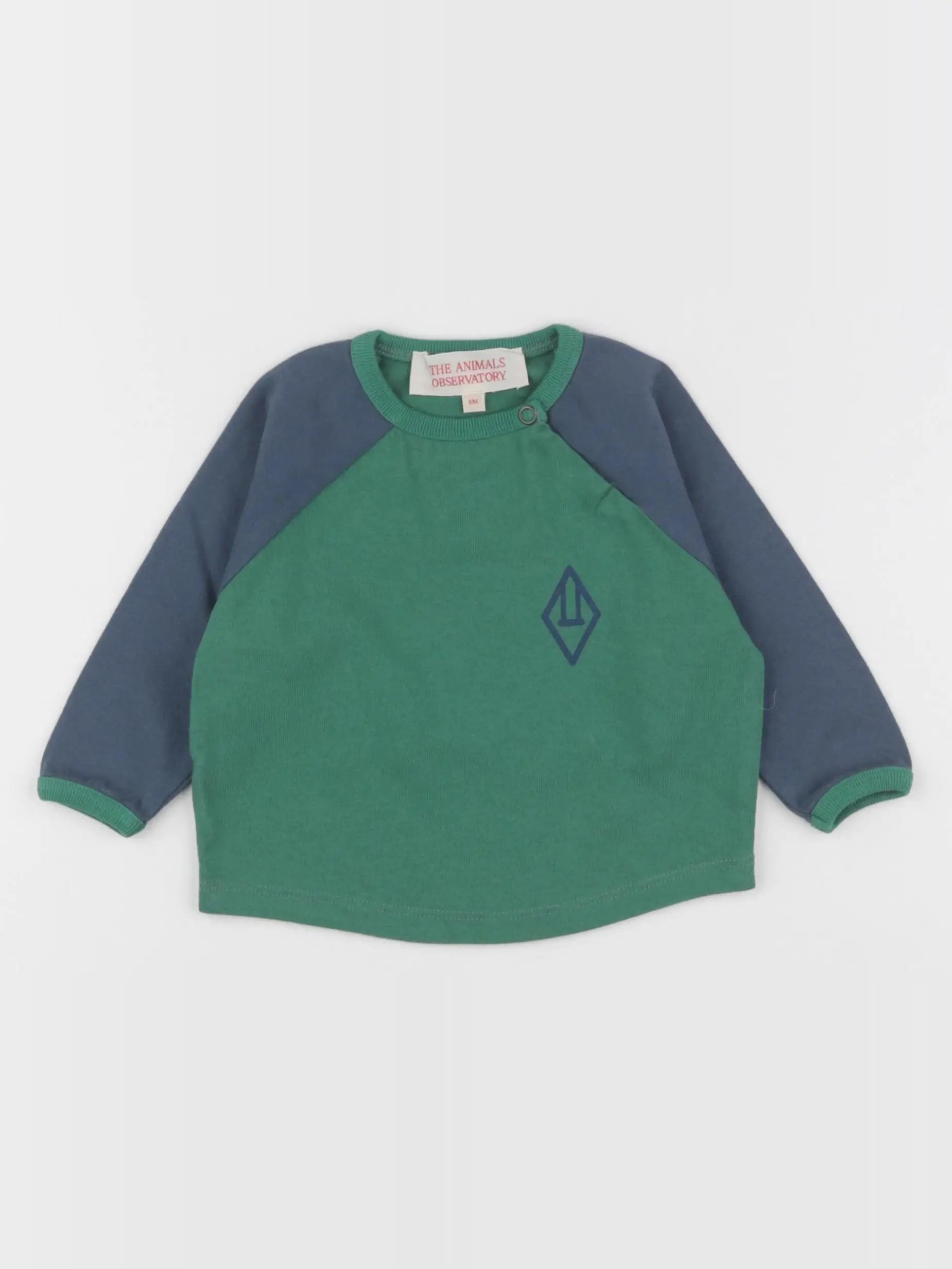 The animals observatory - tee-shirt imprimé au dos vert, bleu - 6 mois