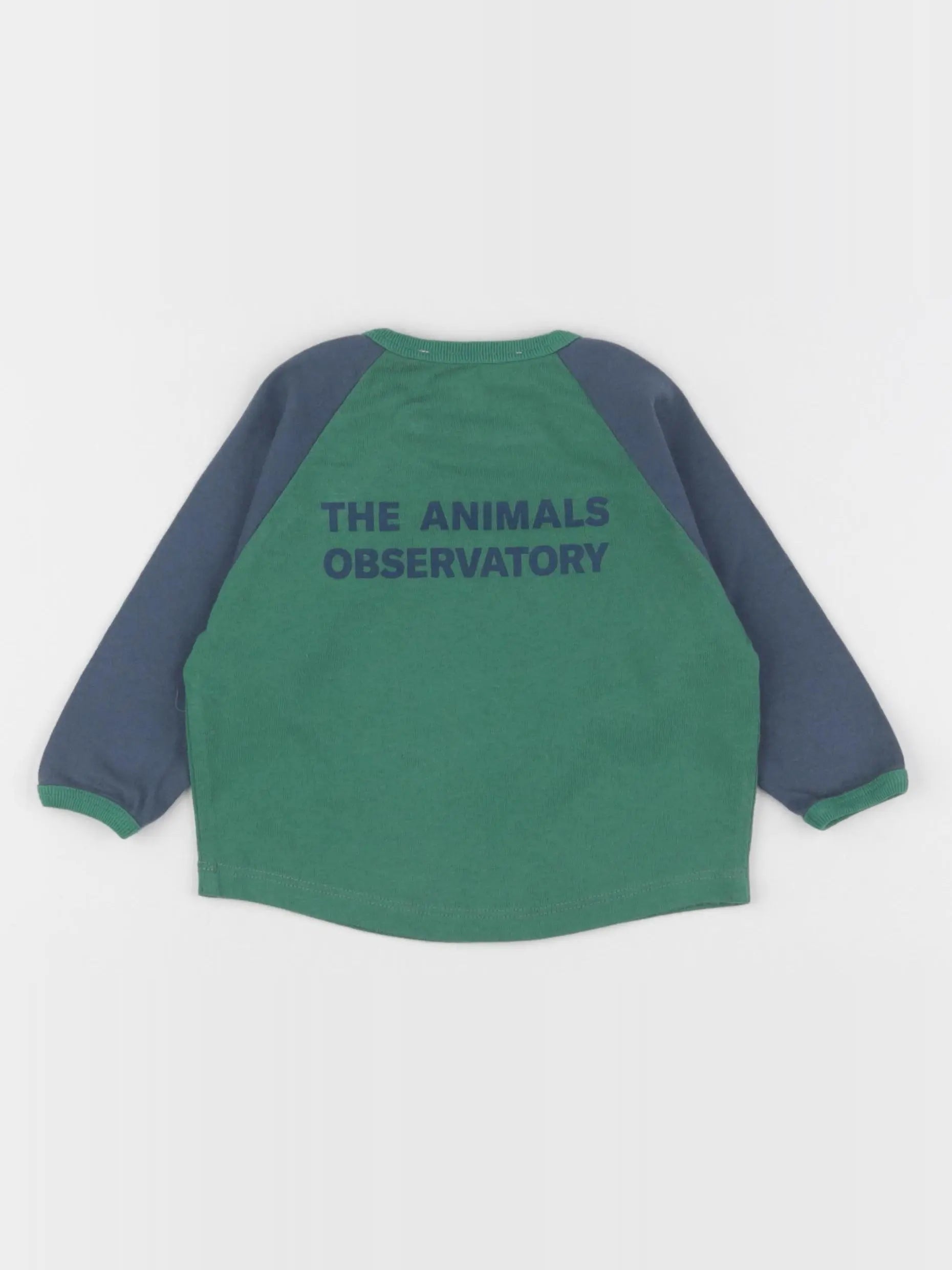 The animals observatory - tee-shirt imprimé au dos vert, bleu - 6 mois