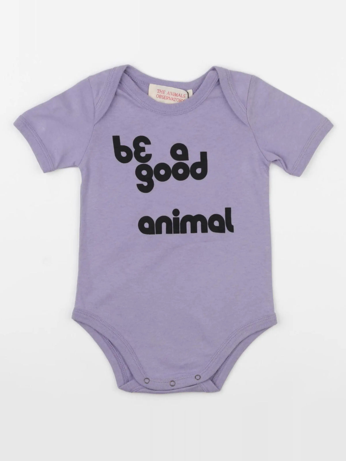 The animals observatory - body violet - 6 mois