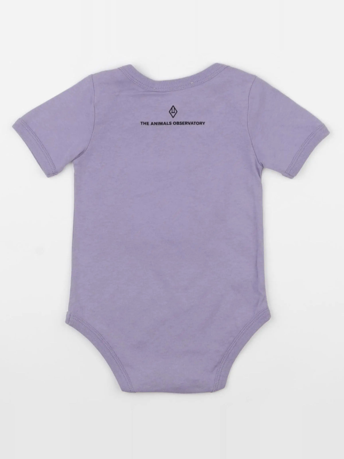 The animals observatory - body violet - 6 mois