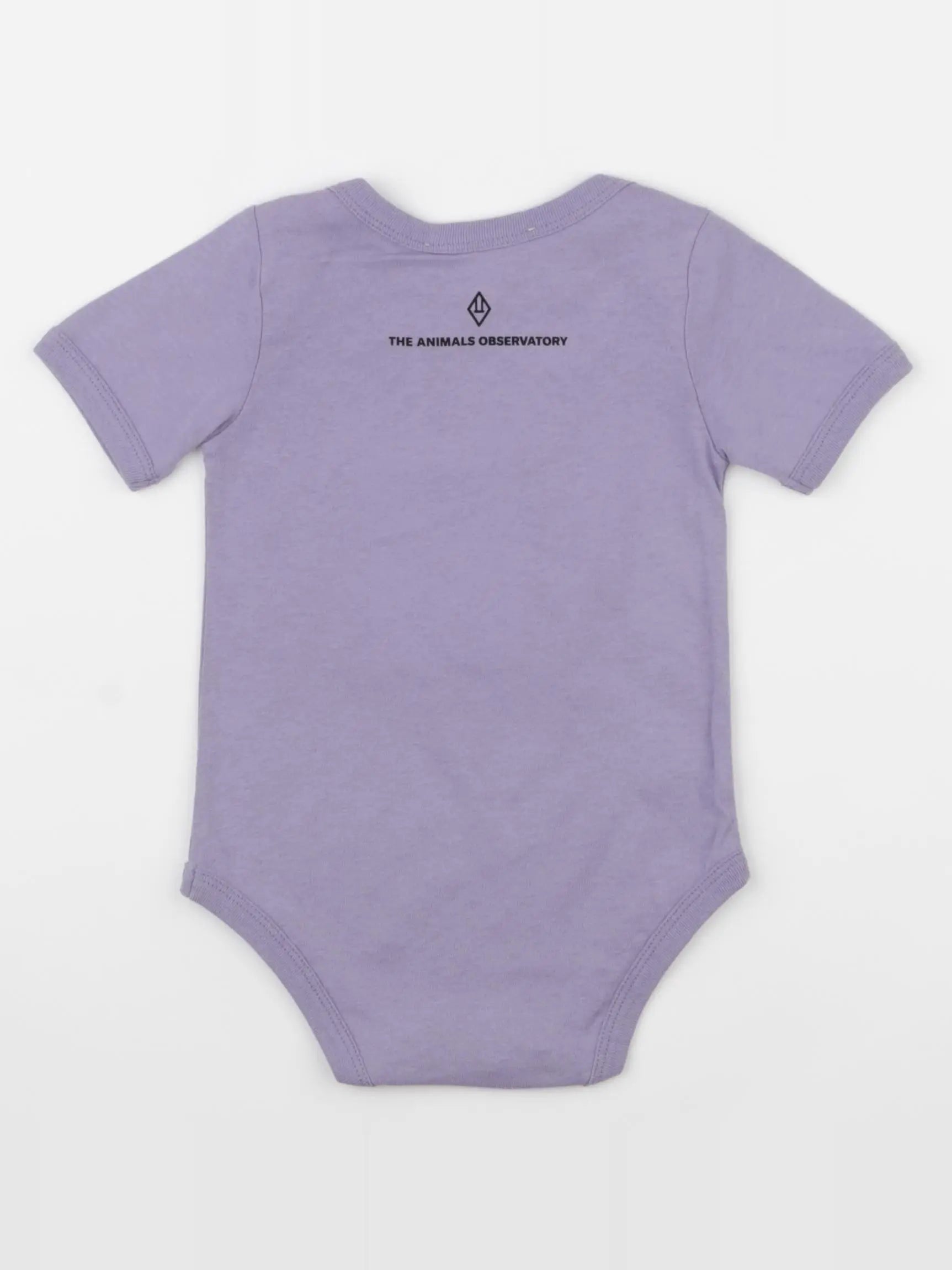 The animals observatory - body violet - 6 mois