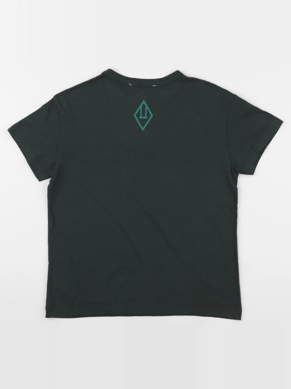 The animals observatory - tee-shirt vert - 16 ans