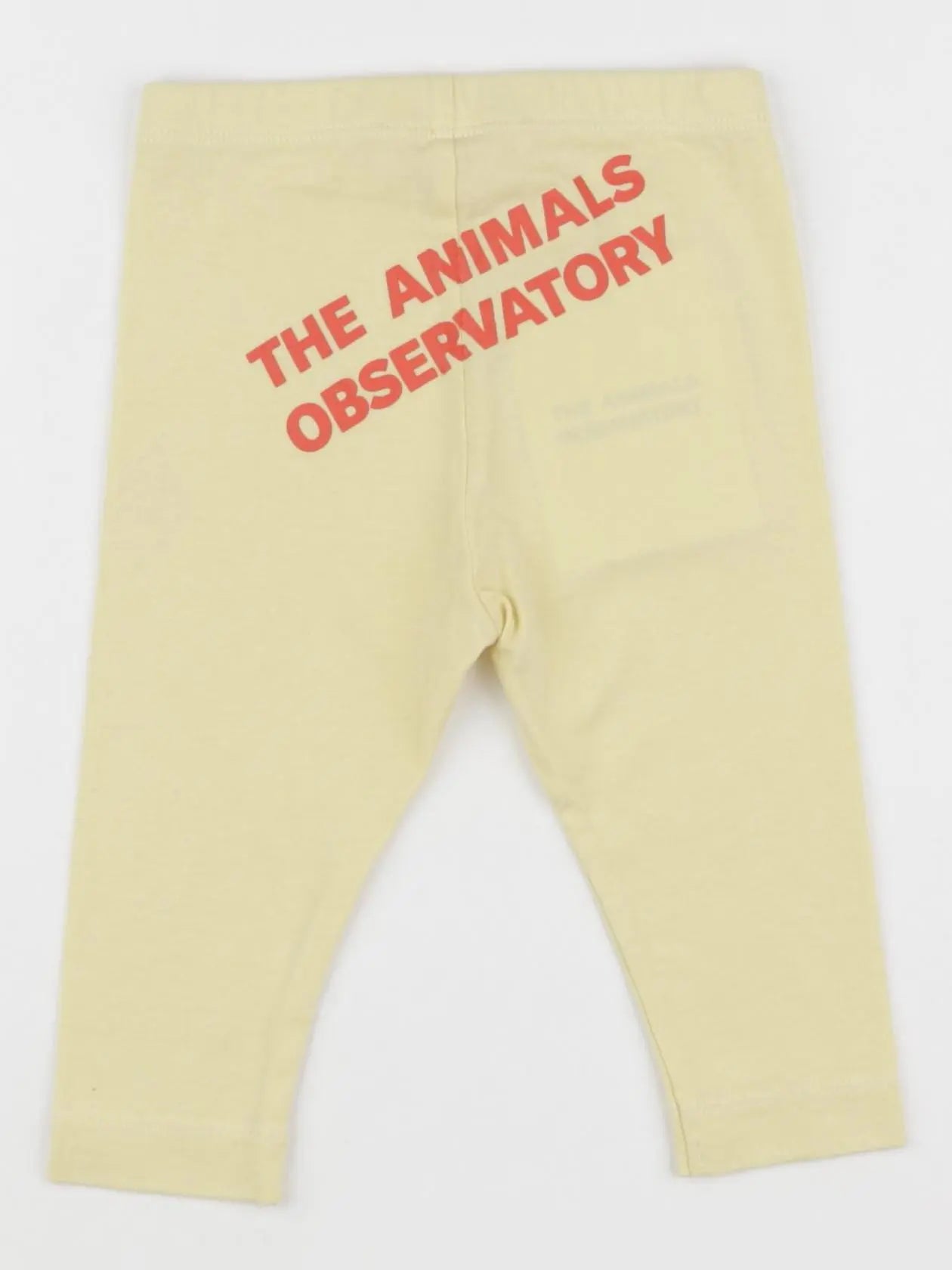 The animals observatory - legging jaune - 6 mois
