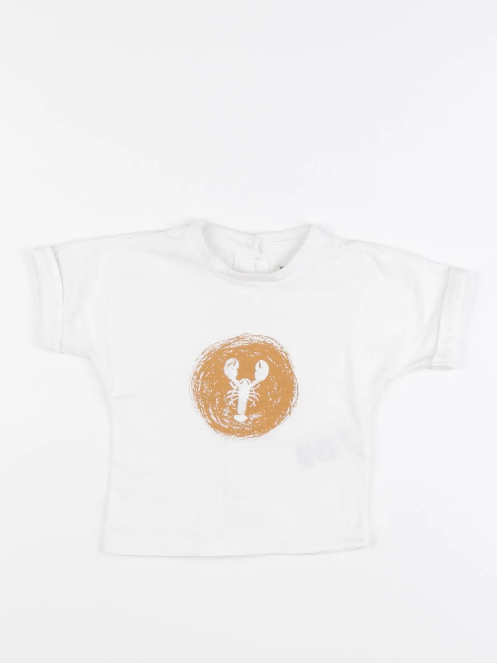 Vertbaudet - tee-shirt blanc - 6 mois