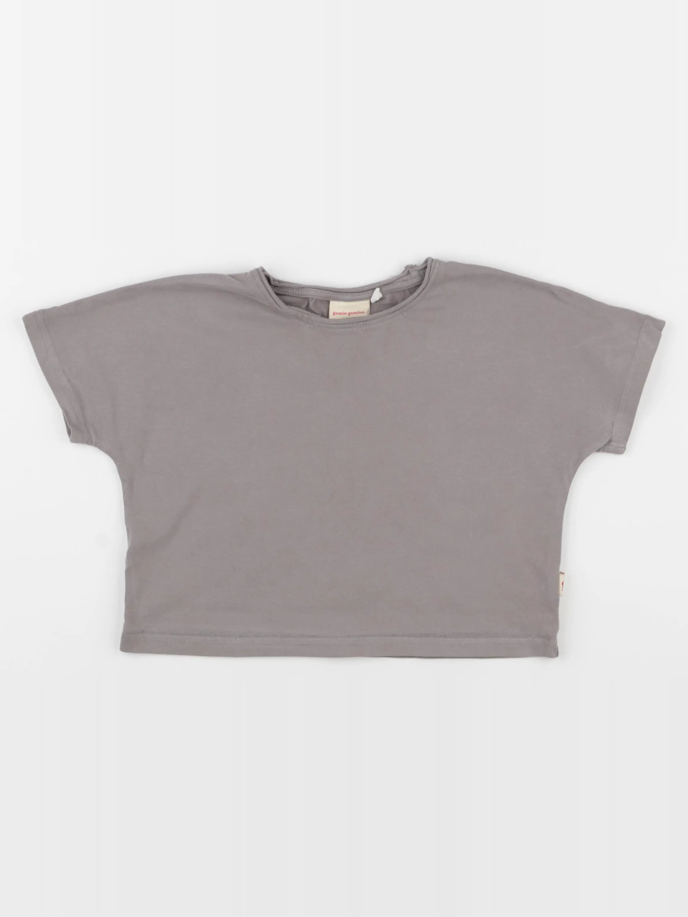 Gamin gamine - tee-shirt taupe - 2 ans