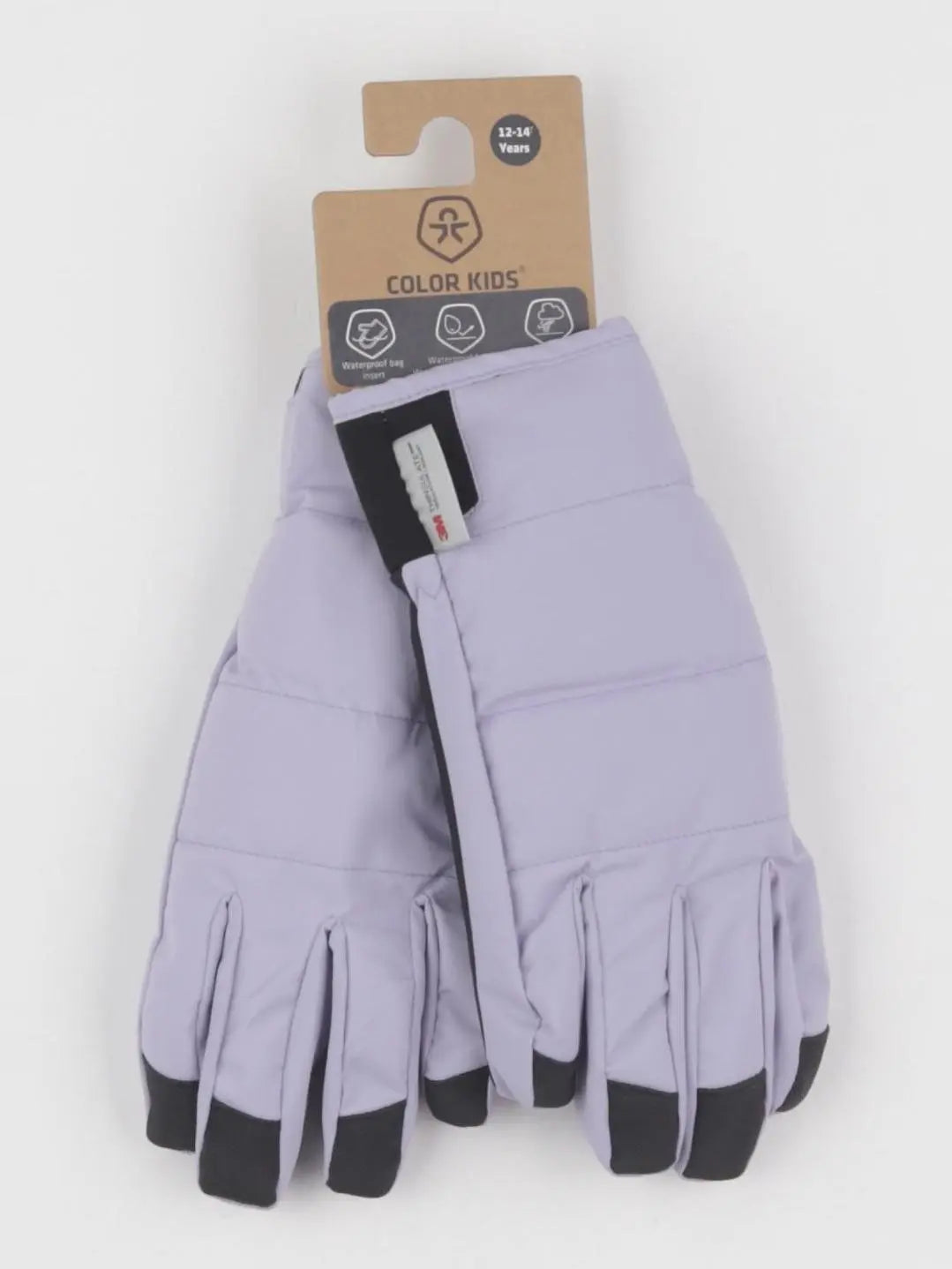 Gants de ski Languid Lavender